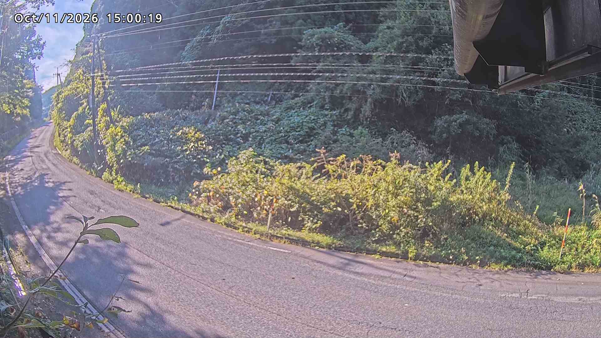南部町大木屋