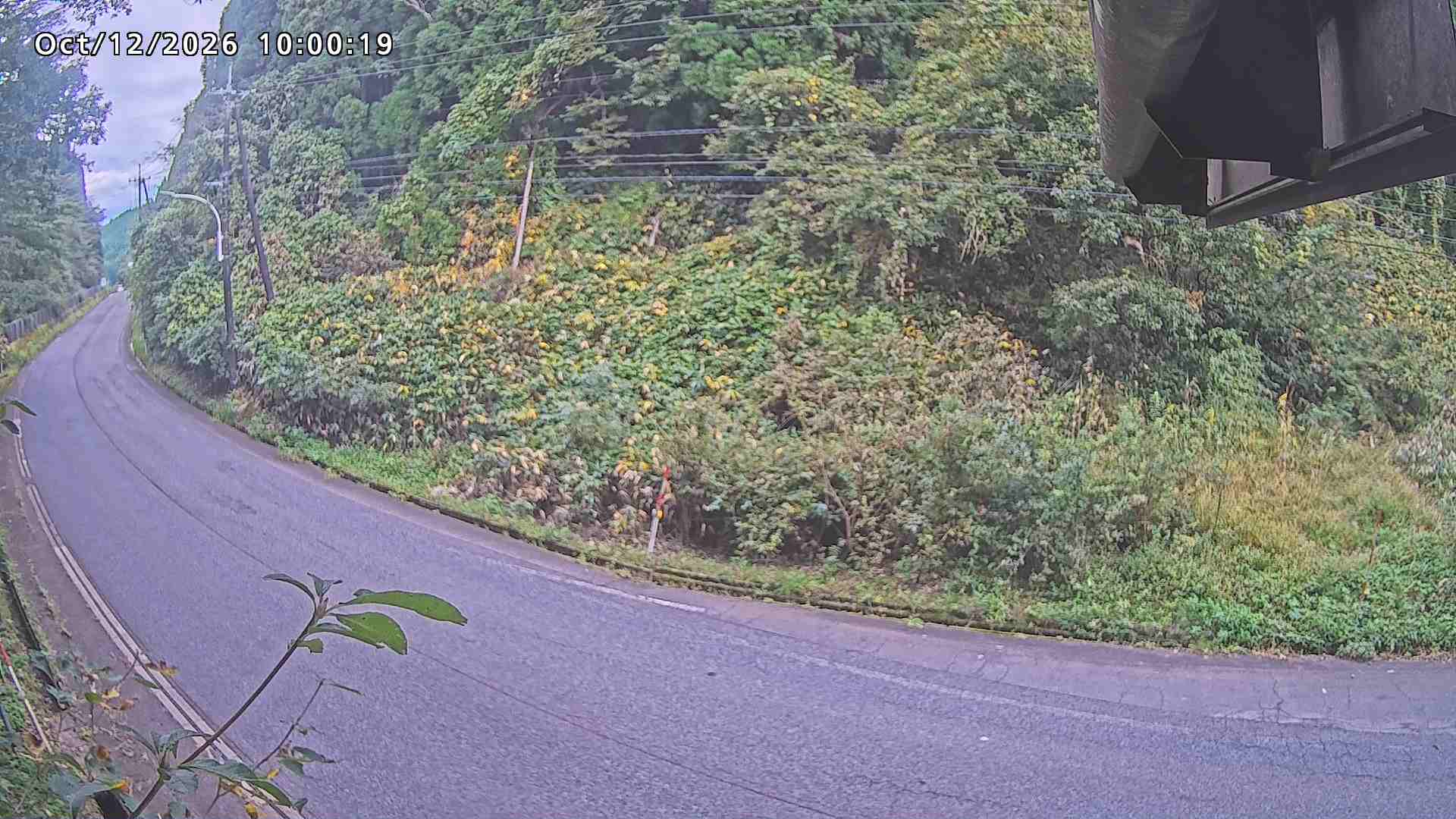 南部町大木屋