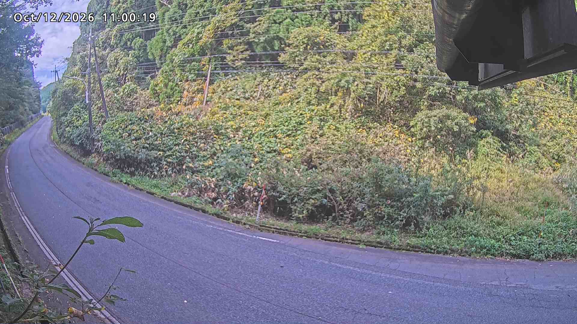 南部町大木屋