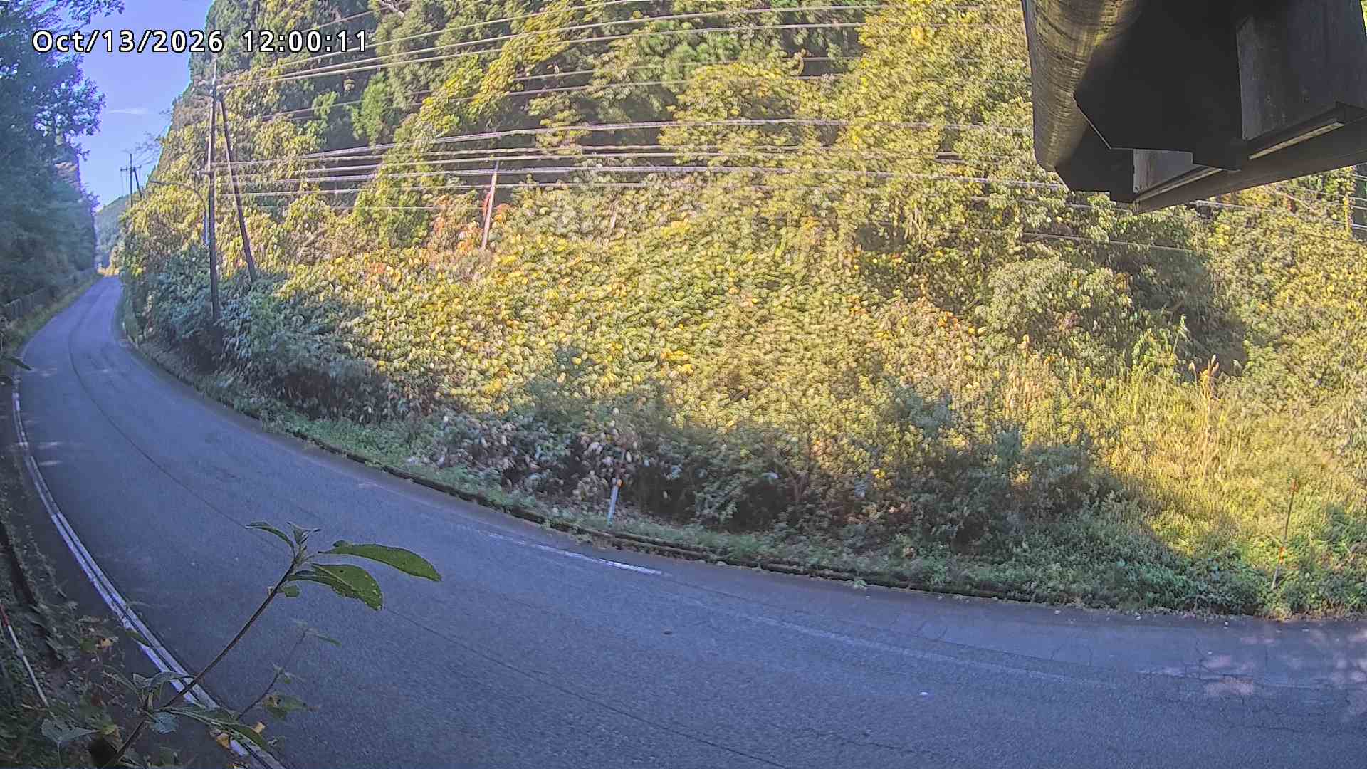 南部町大木屋