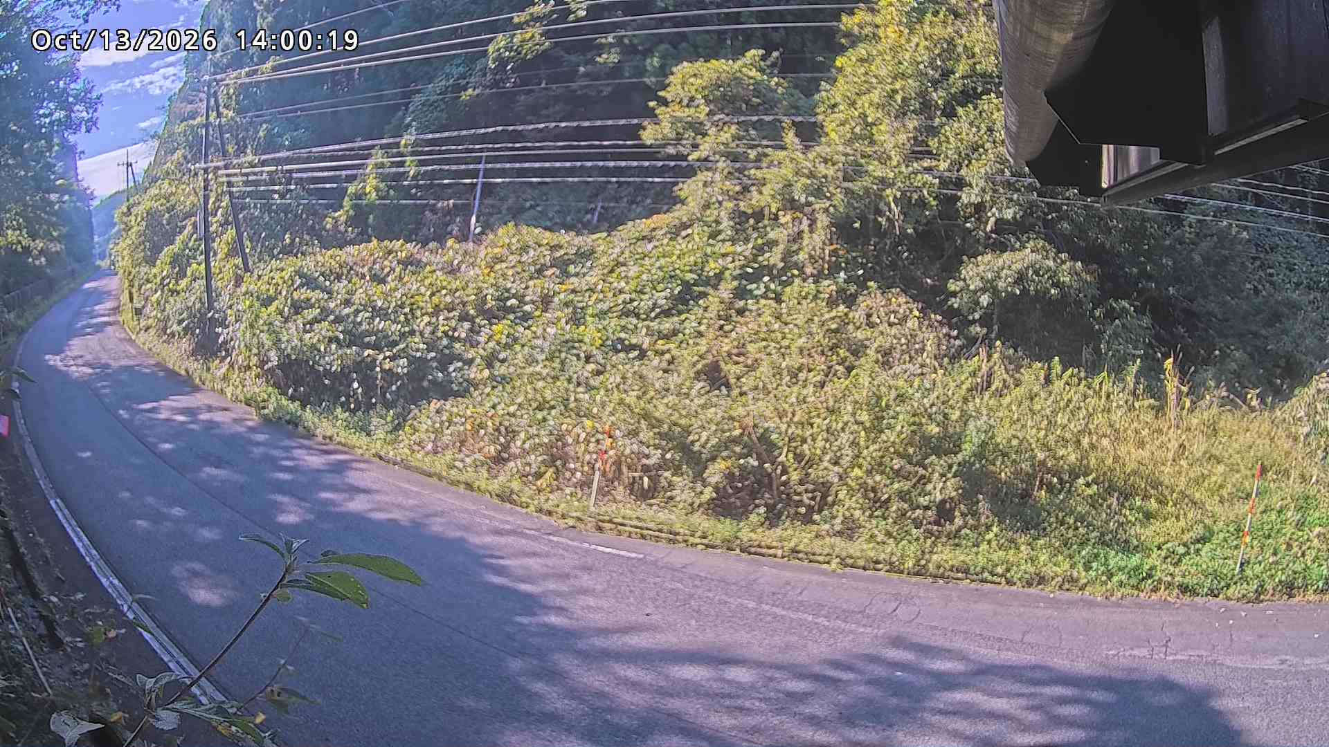 南部町大木屋