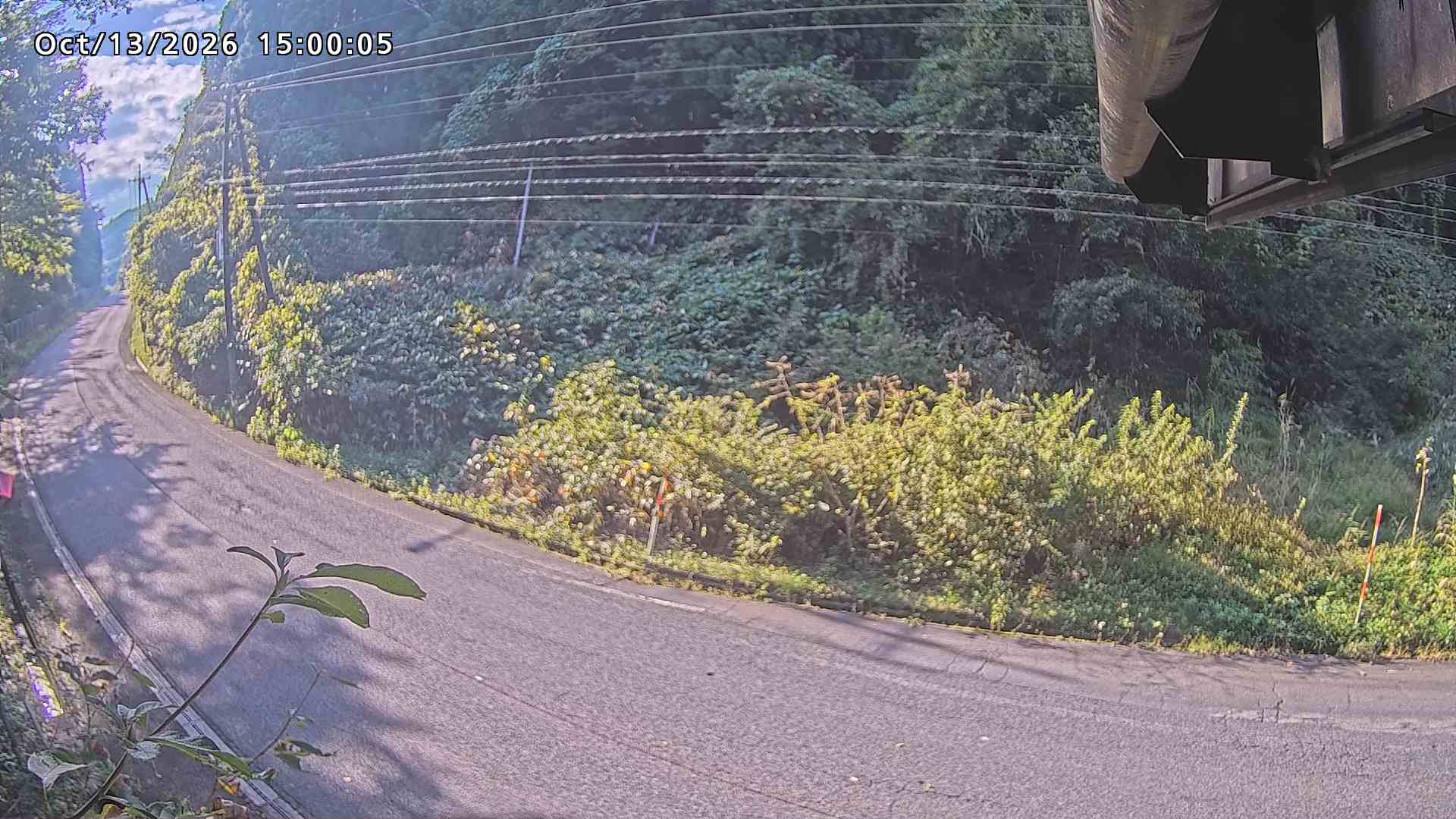 南部町大木屋