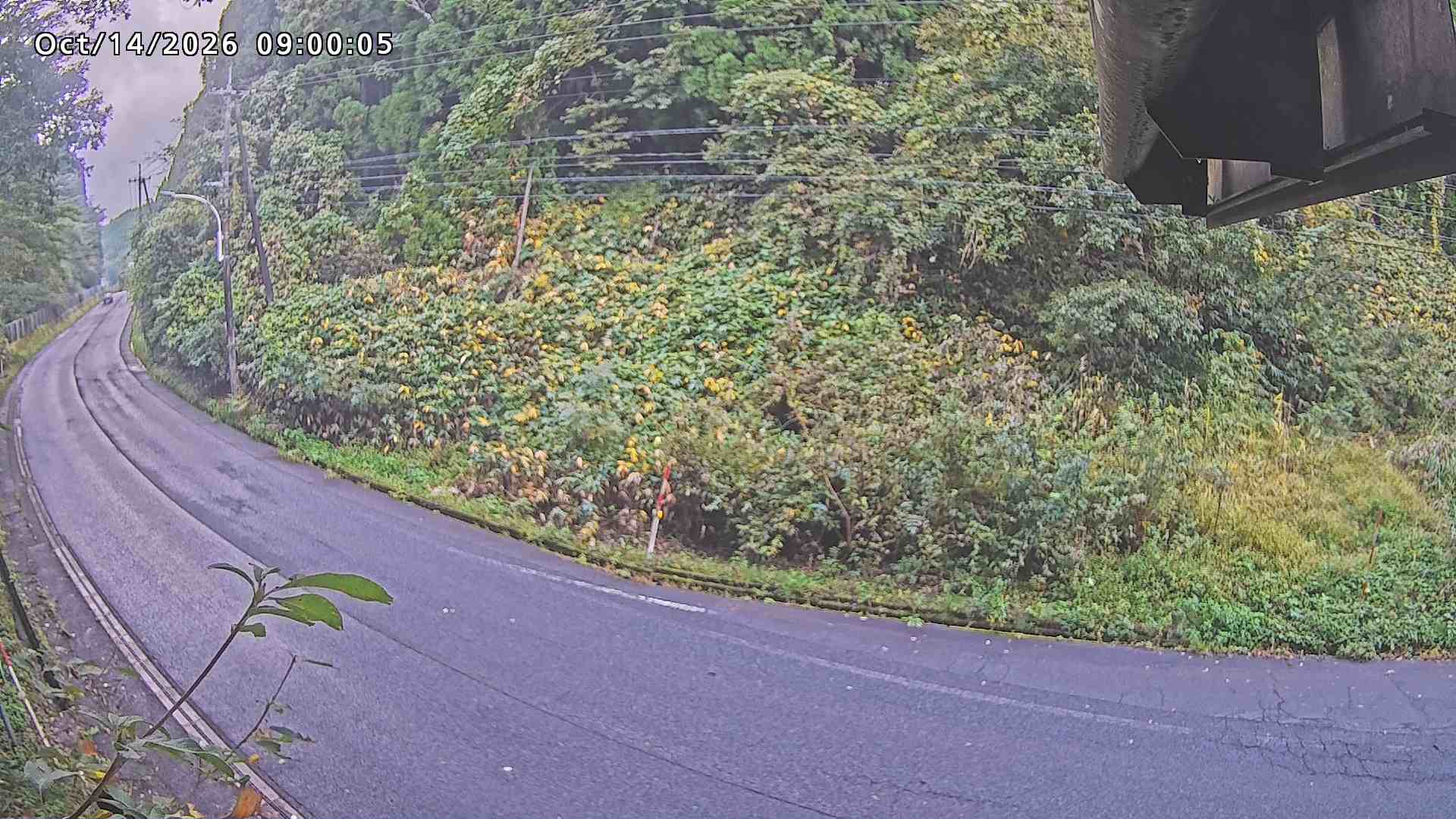 南部町大木屋