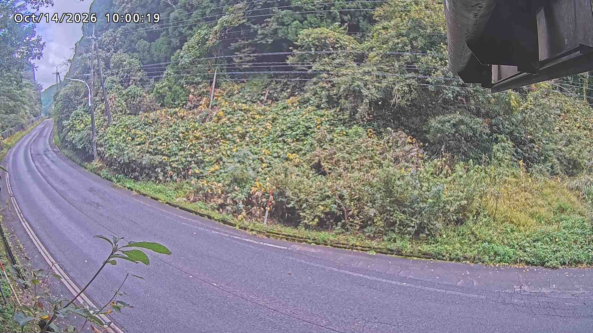 南部町大木屋