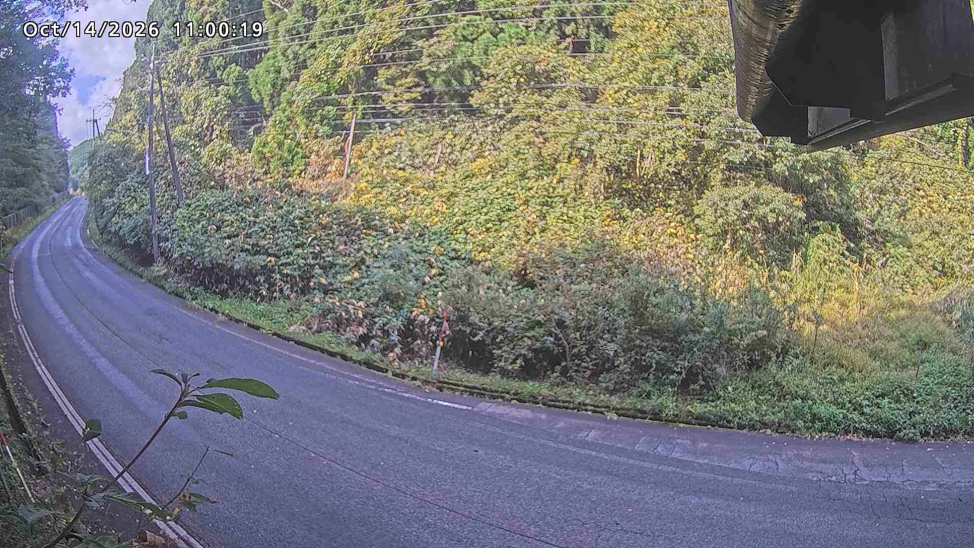 南部町大木屋