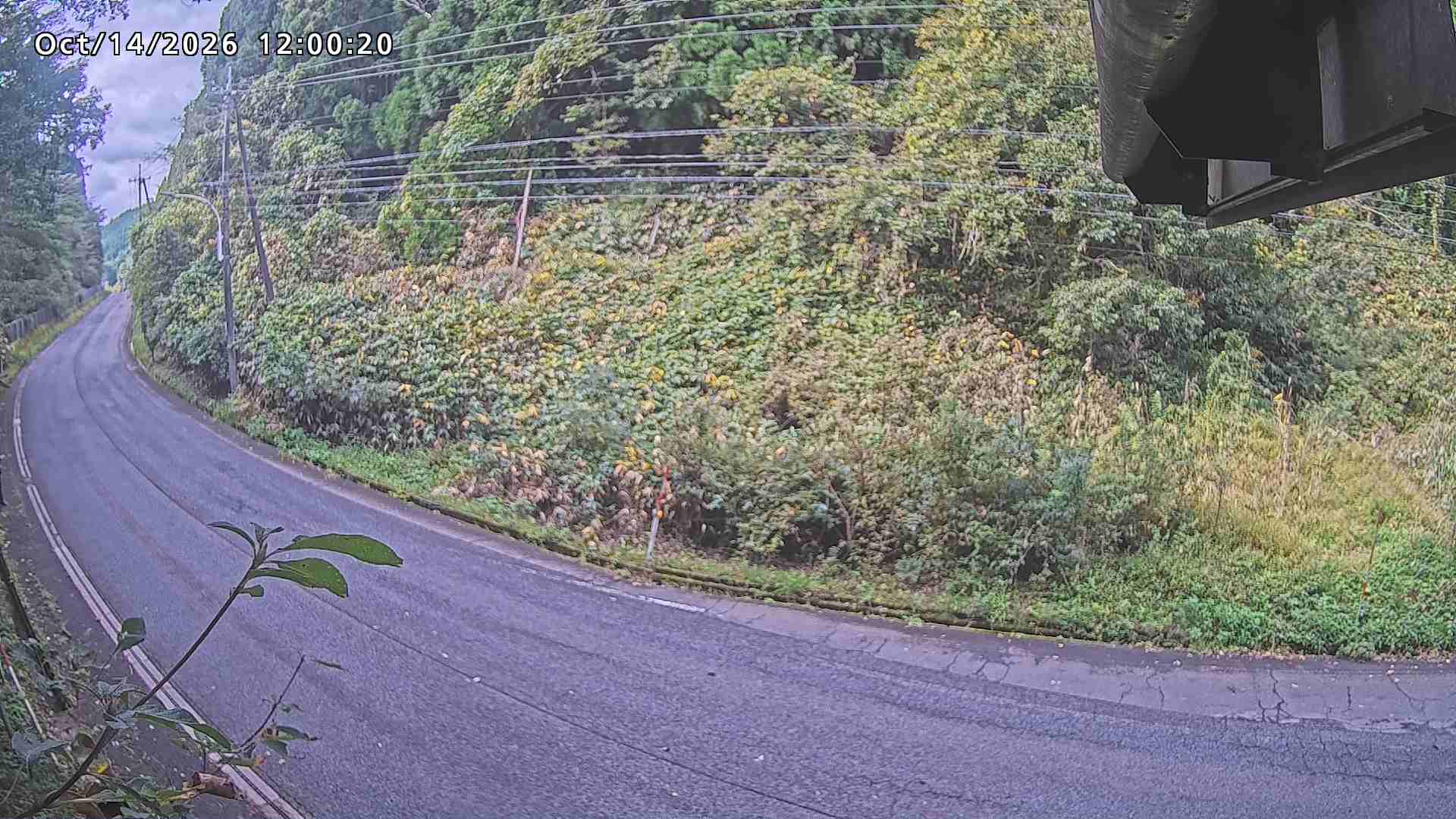 南部町大木屋