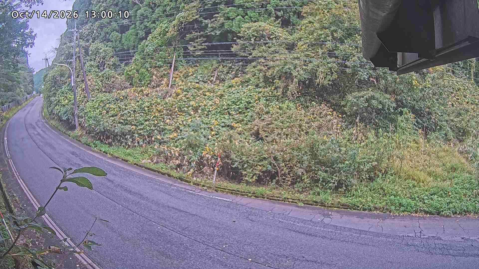 南部町大木屋