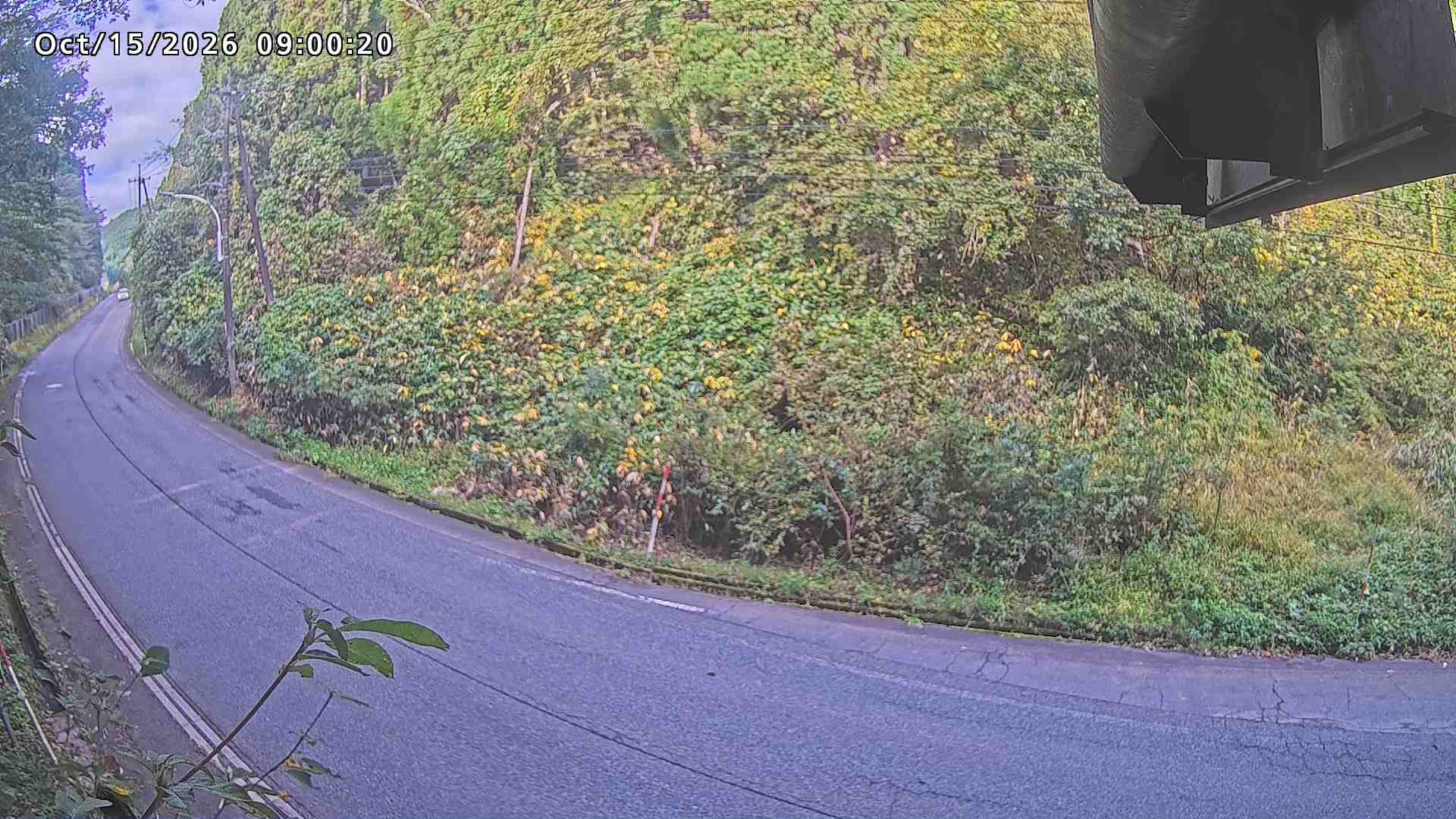 南部町大木屋