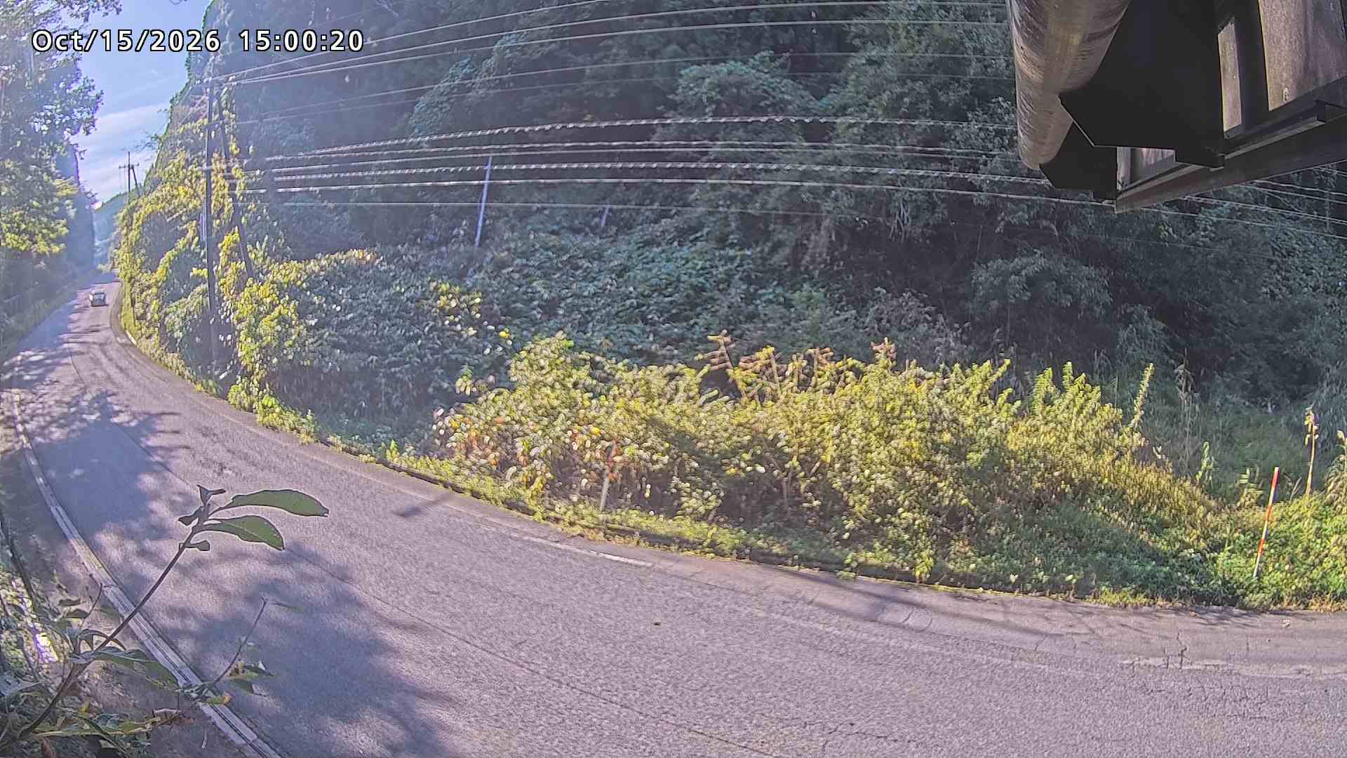 南部町大木屋