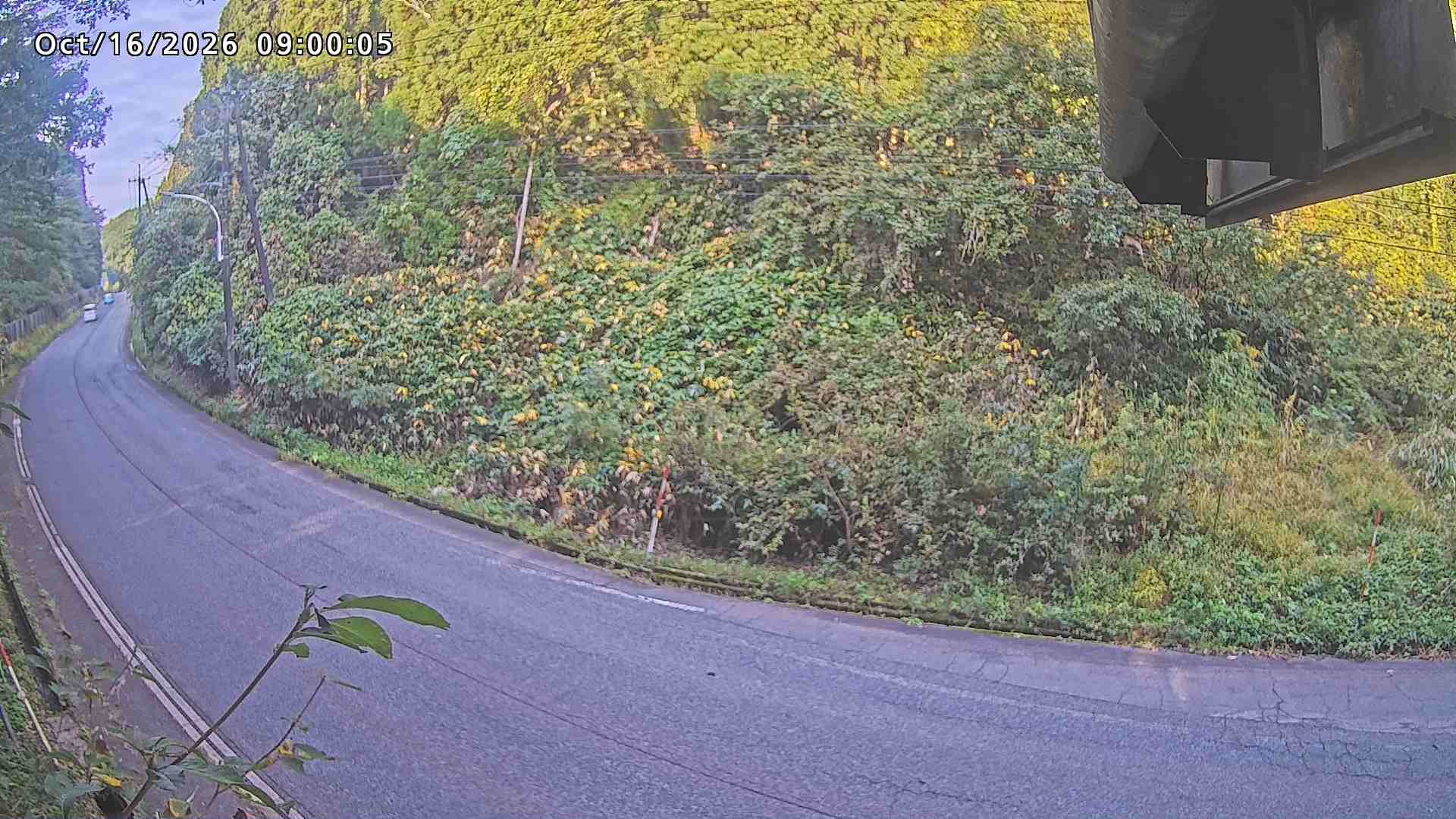 南部町大木屋