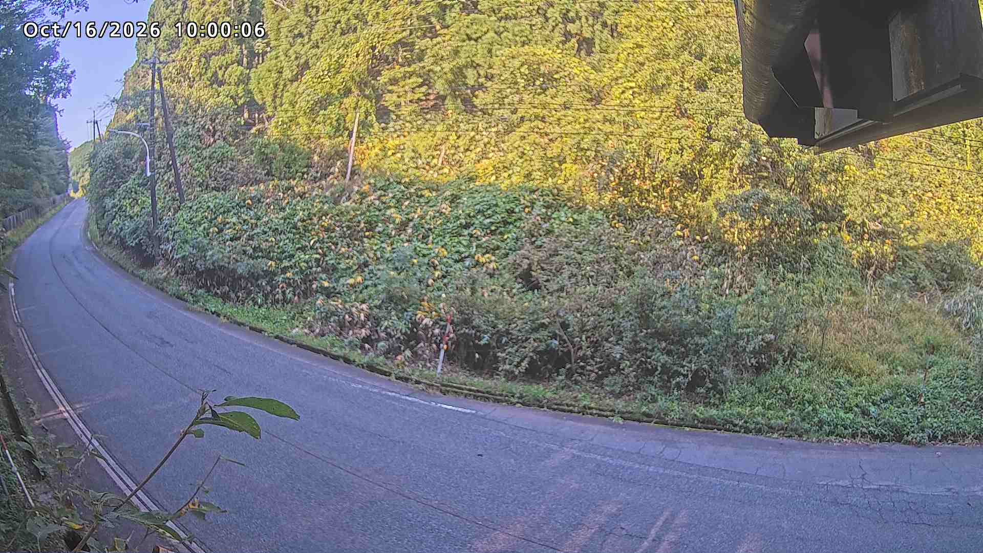 南部町大木屋