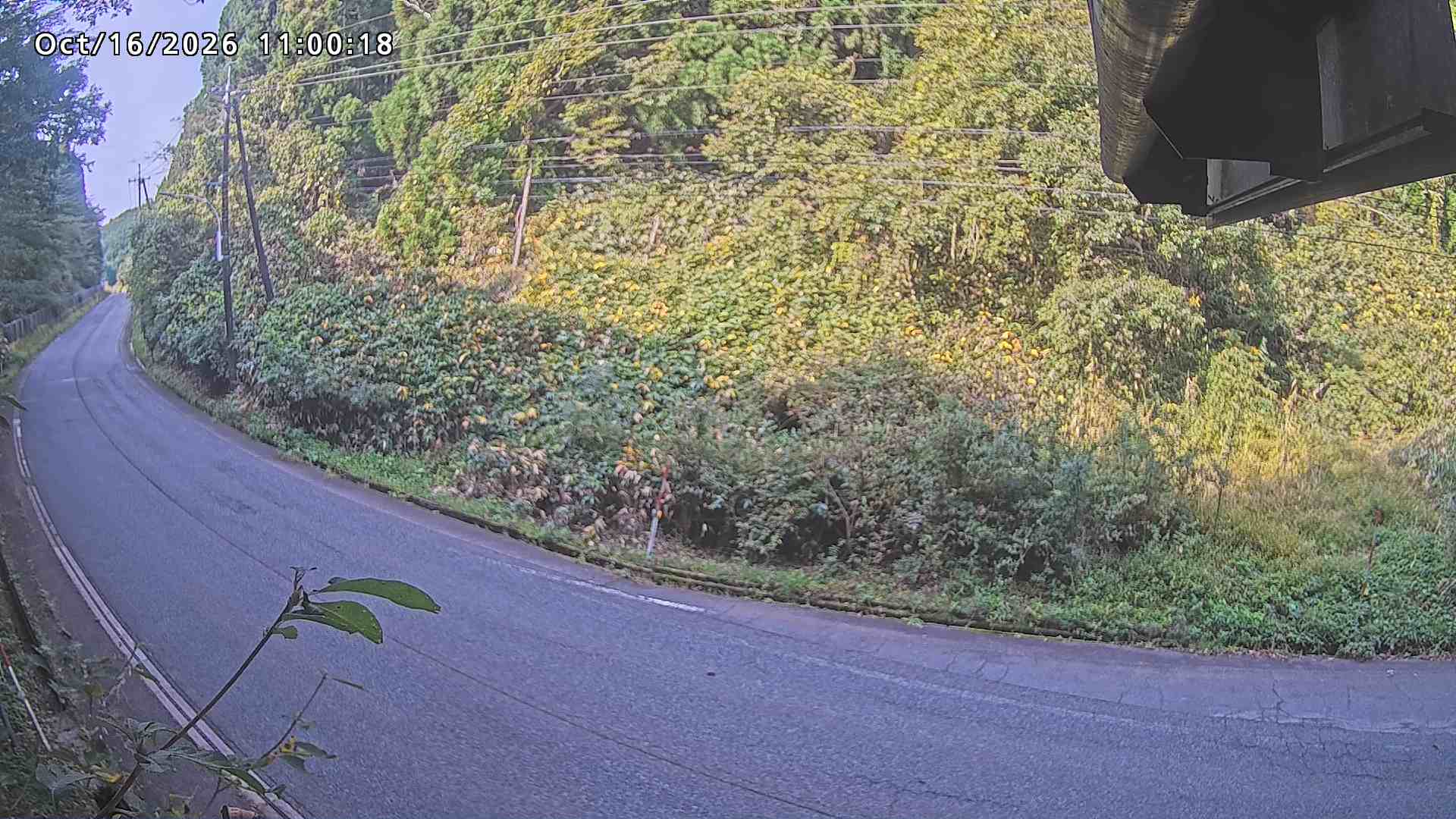 南部町大木屋
