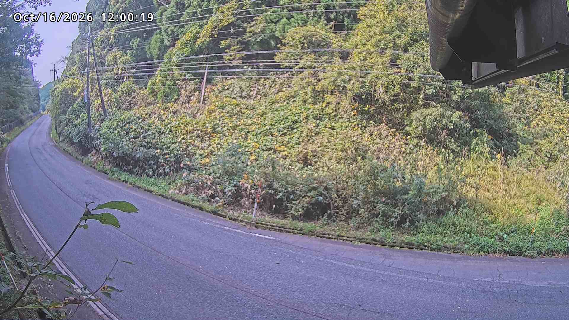 南部町大木屋