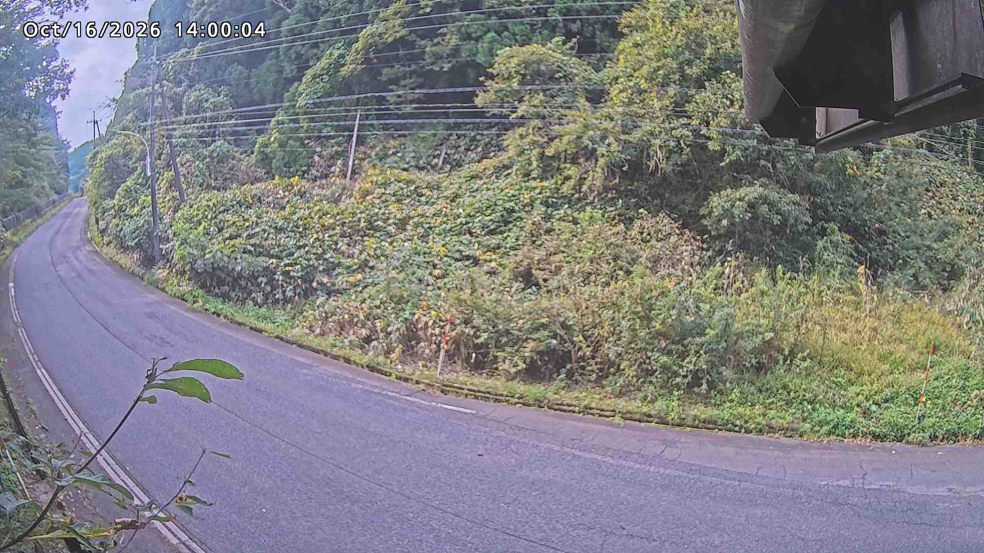 南部町大木屋