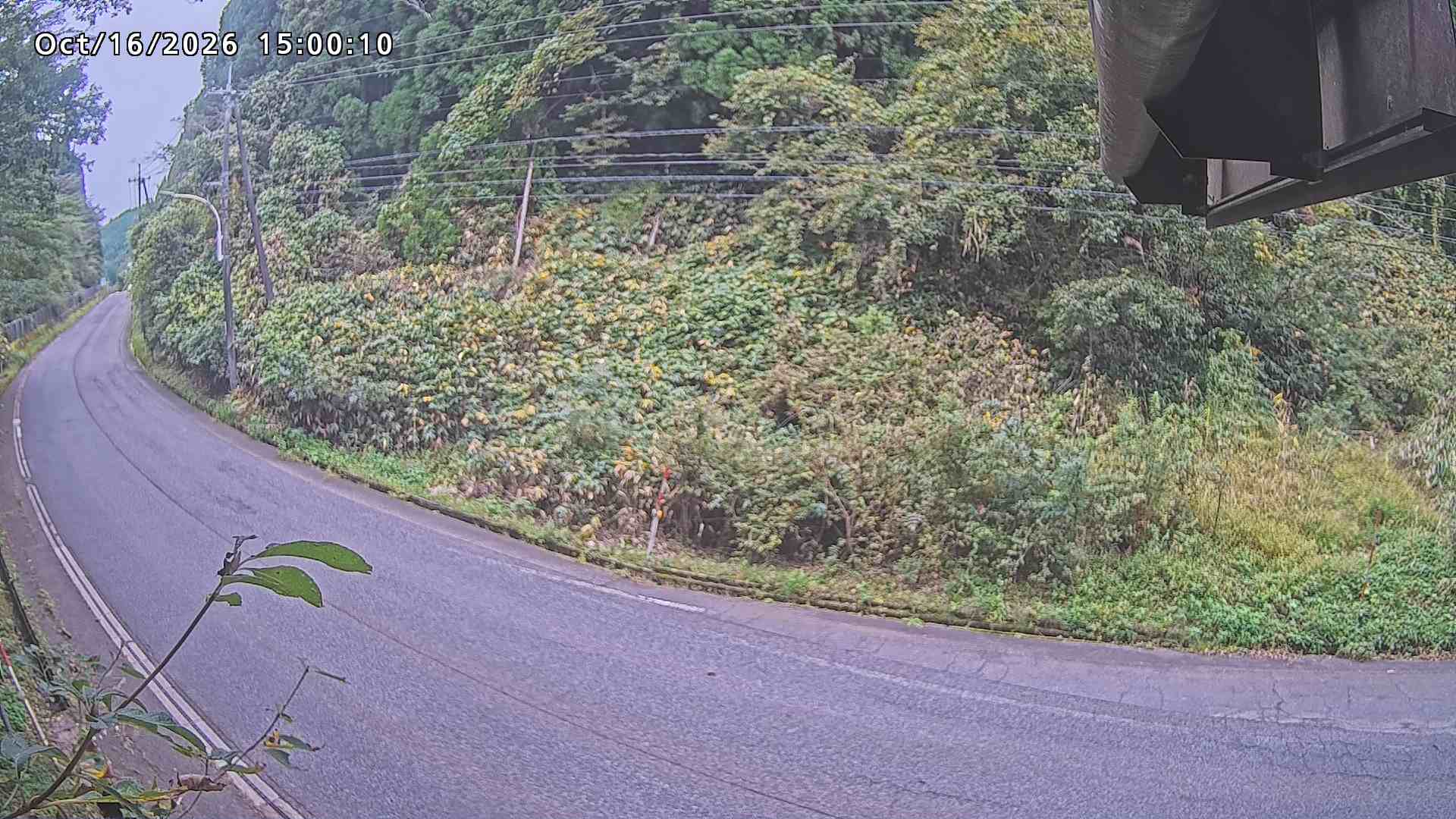 南部町大木屋