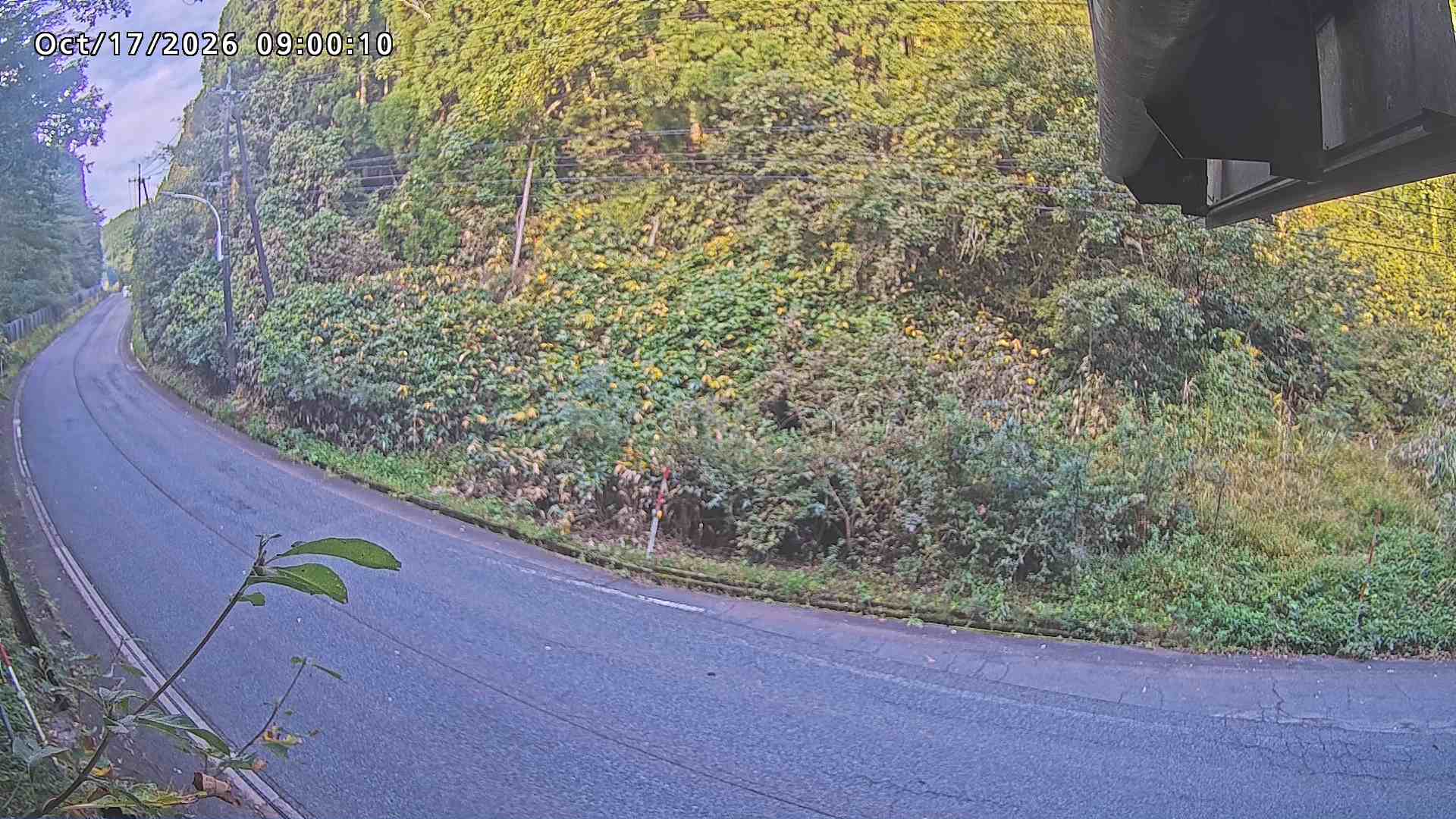 南部町大木屋