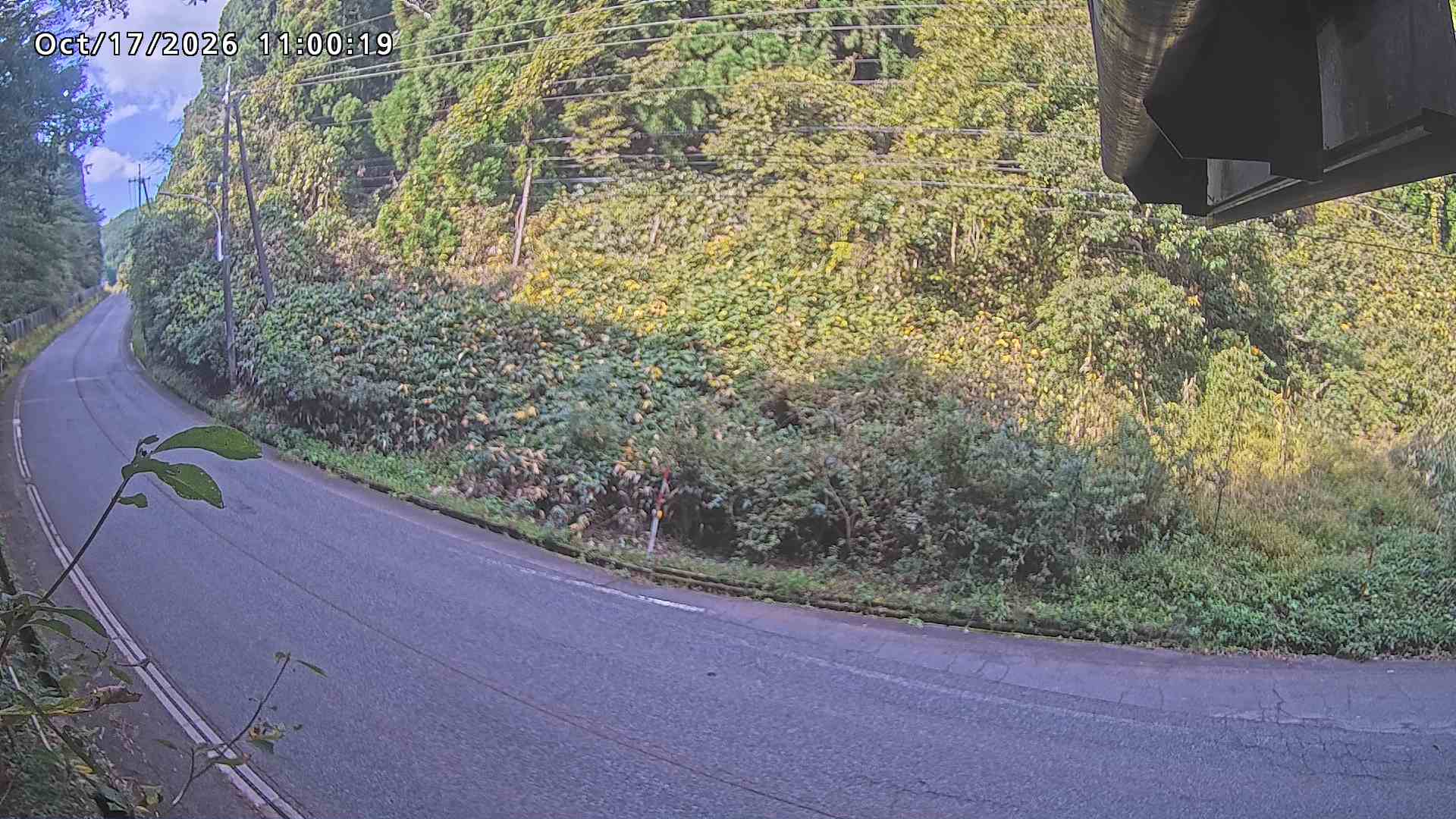 南部町大木屋