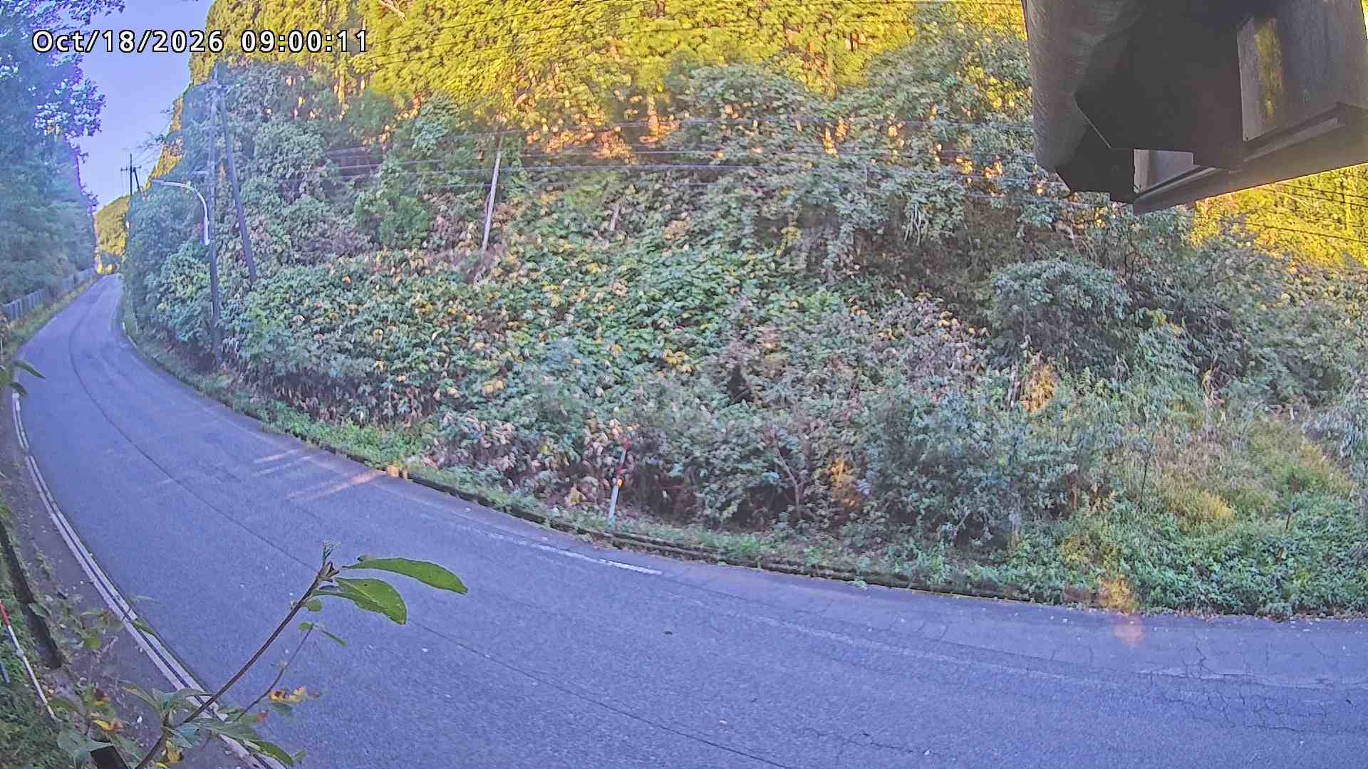 南部町大木屋