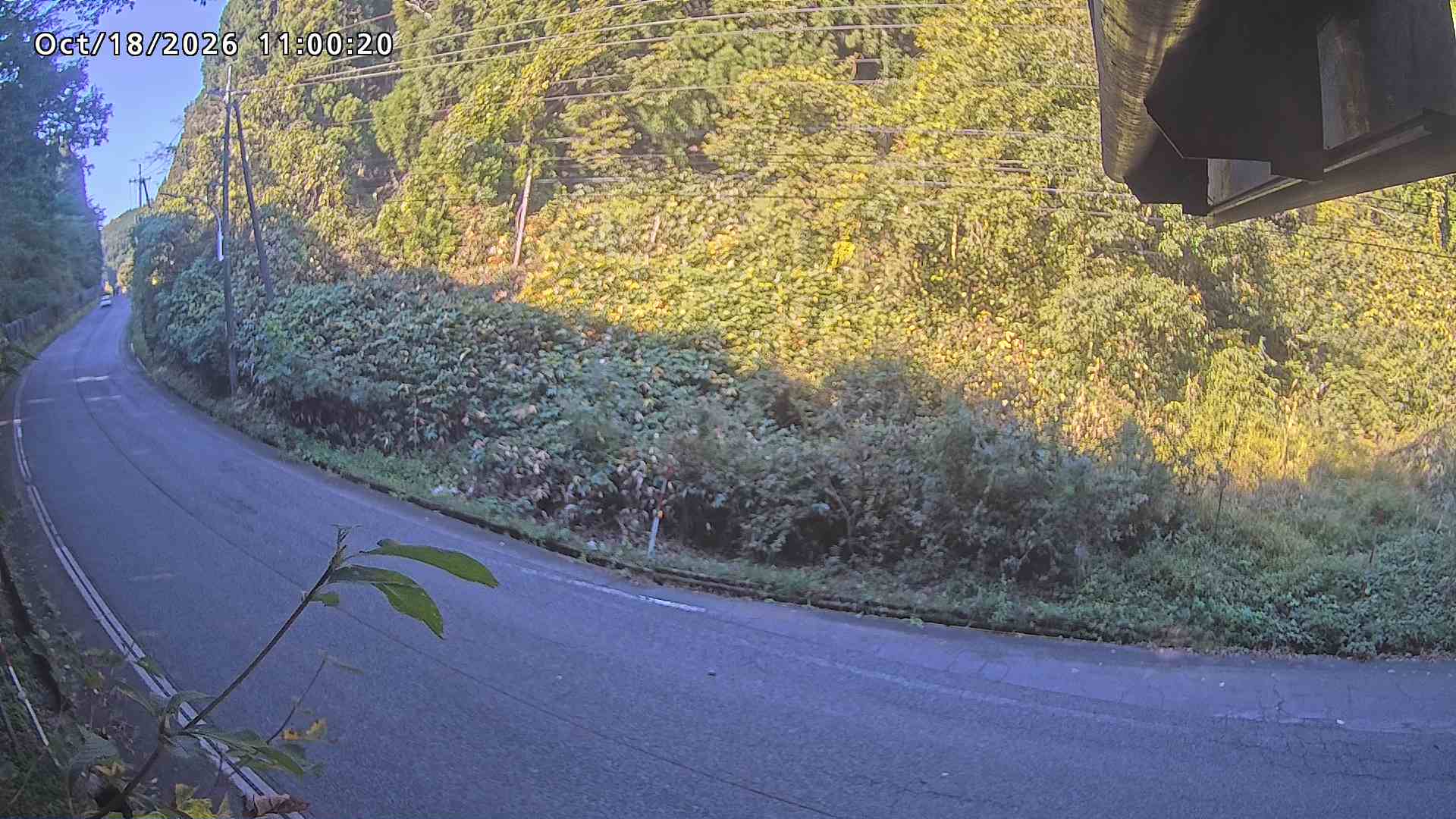 南部町大木屋