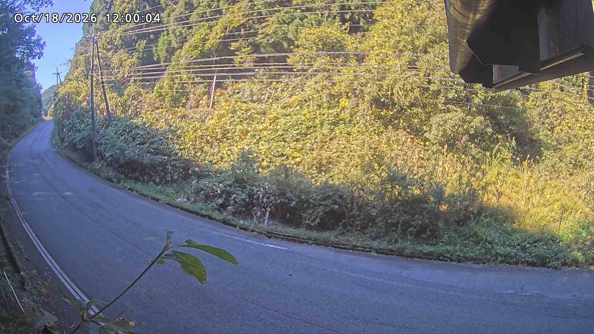 南部町大木屋