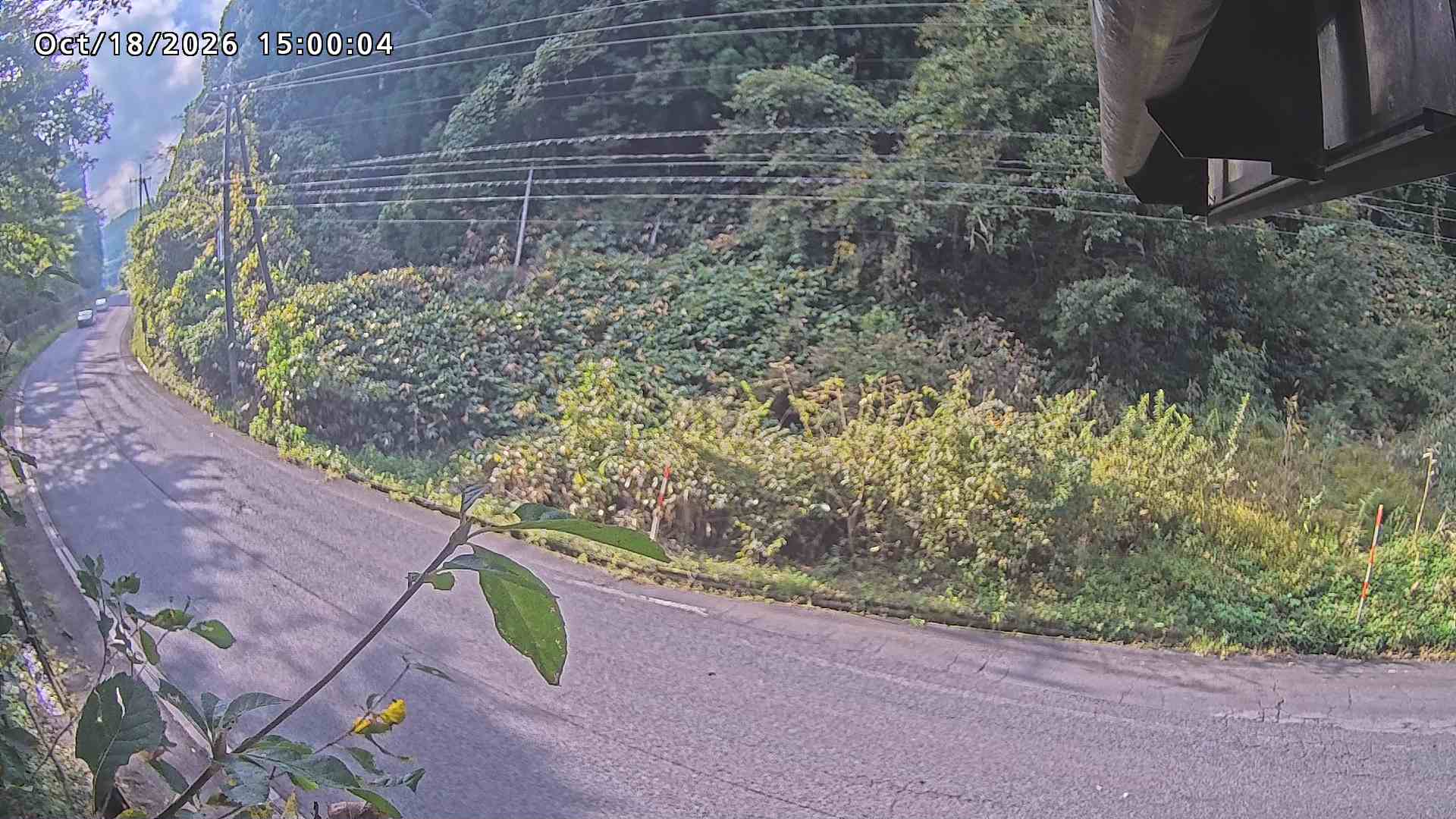 南部町大木屋