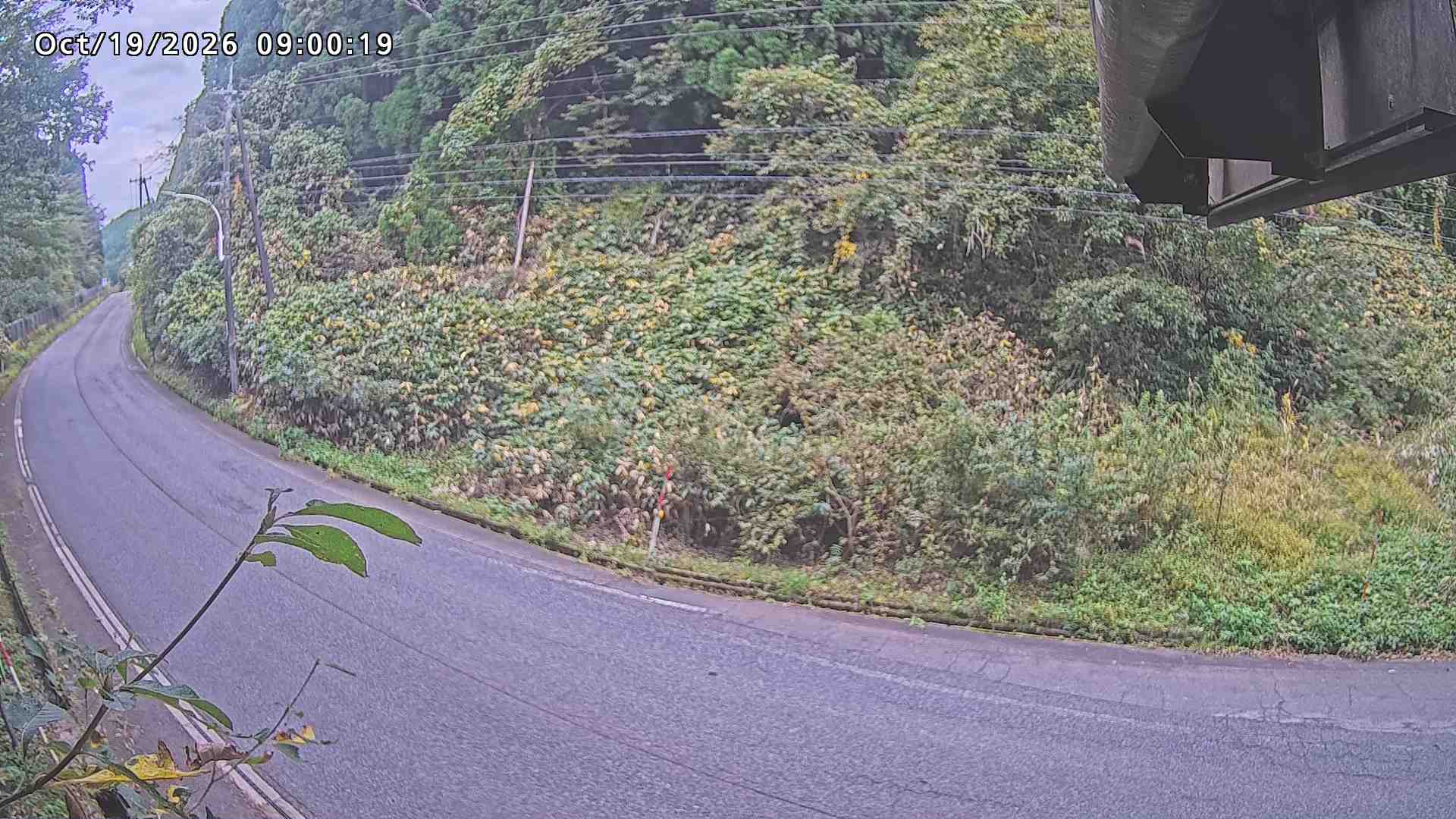 南部町大木屋