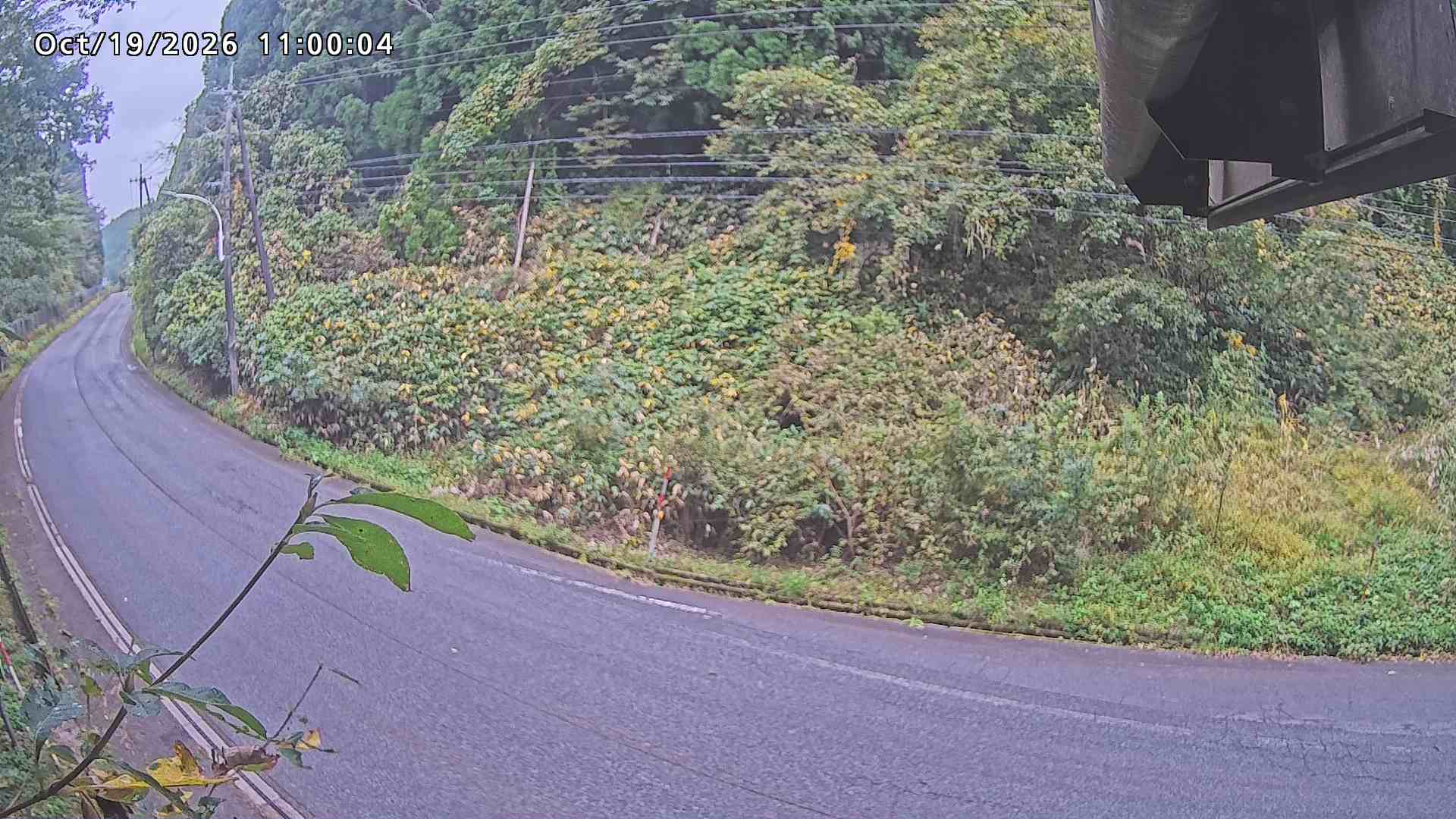 南部町大木屋