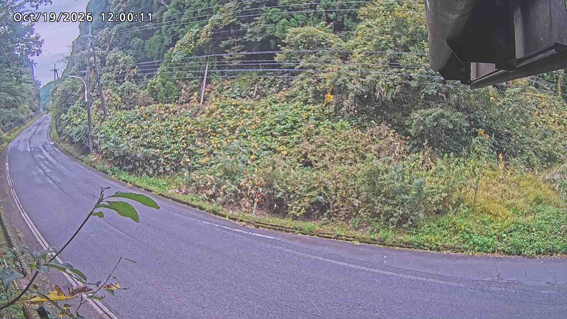 南部町大木屋
