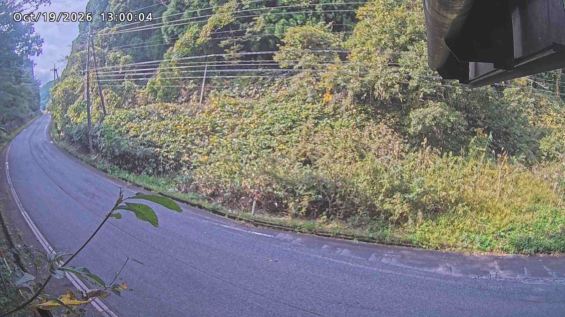 南部町大木屋