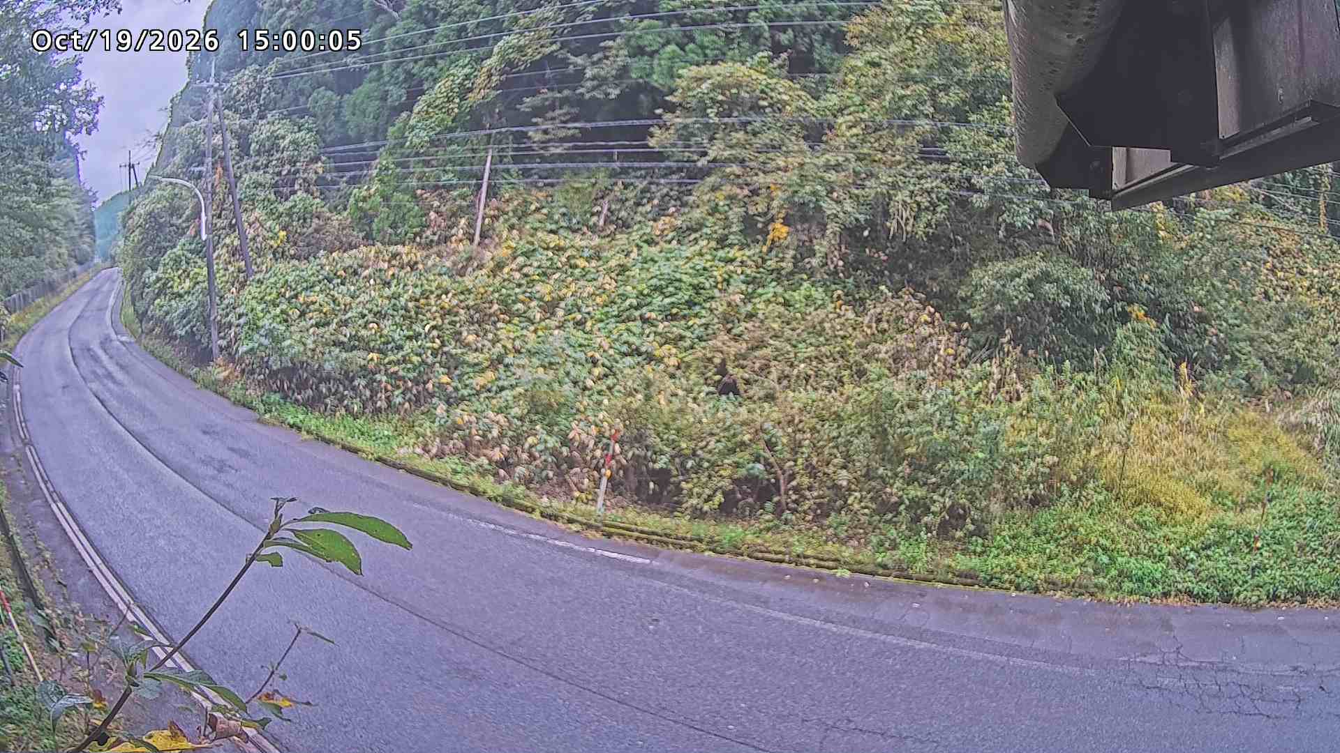南部町大木屋