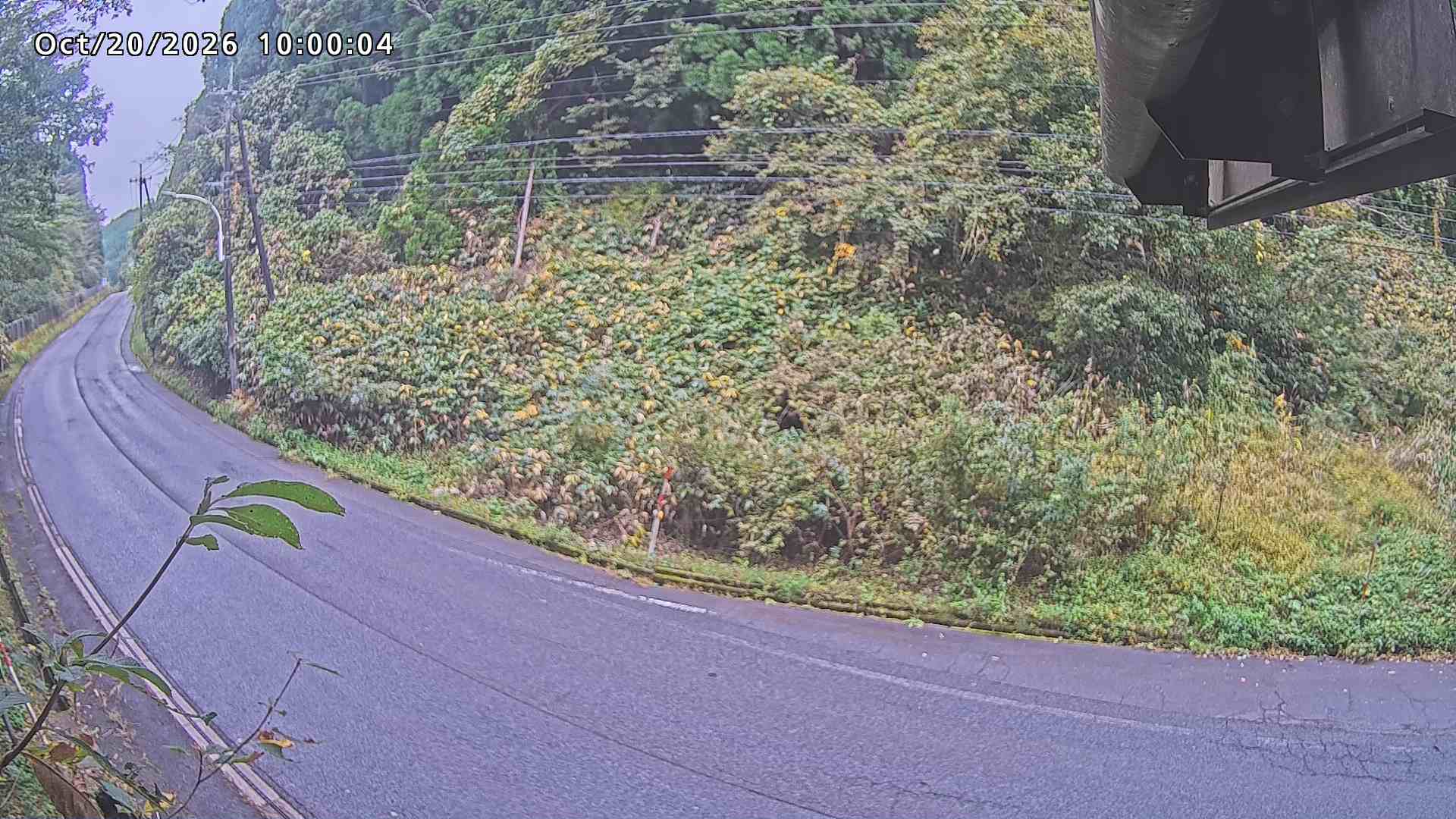 南部町大木屋