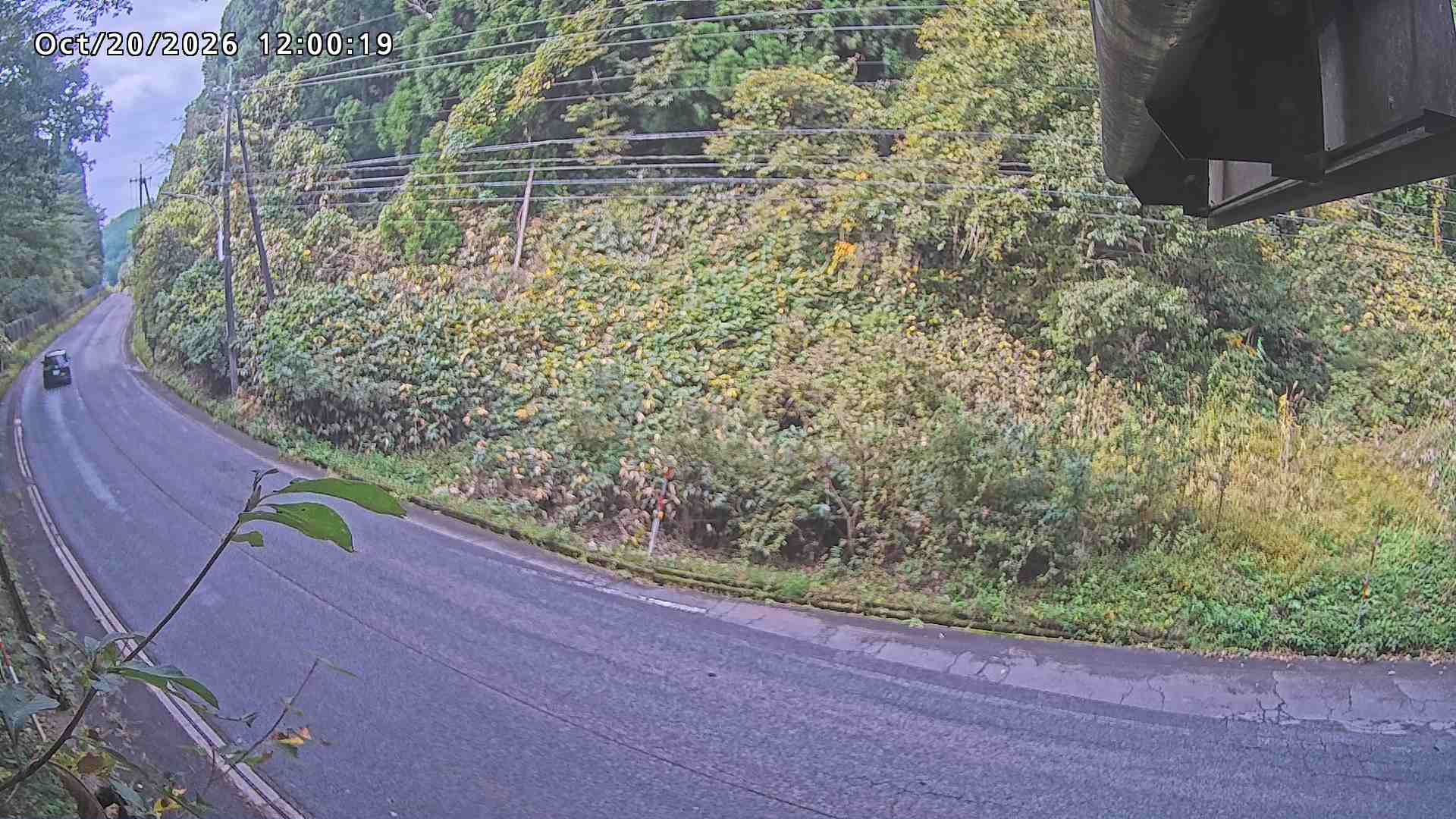 南部町大木屋