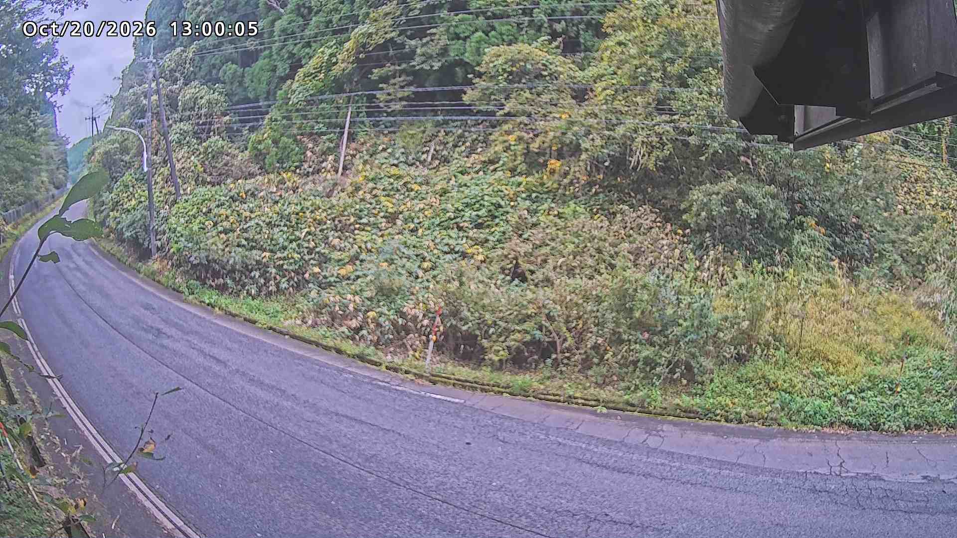 南部町大木屋