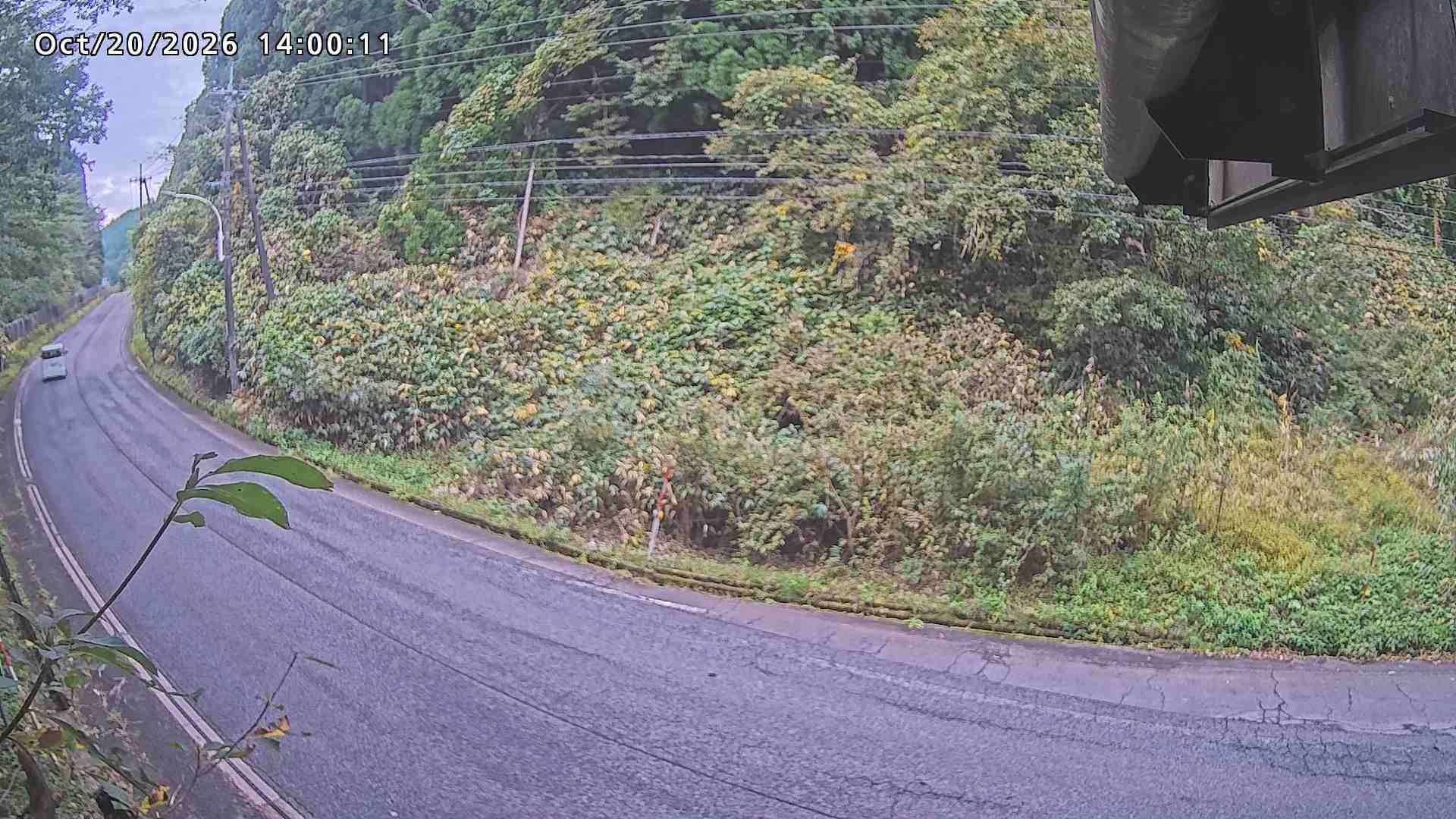 南部町大木屋