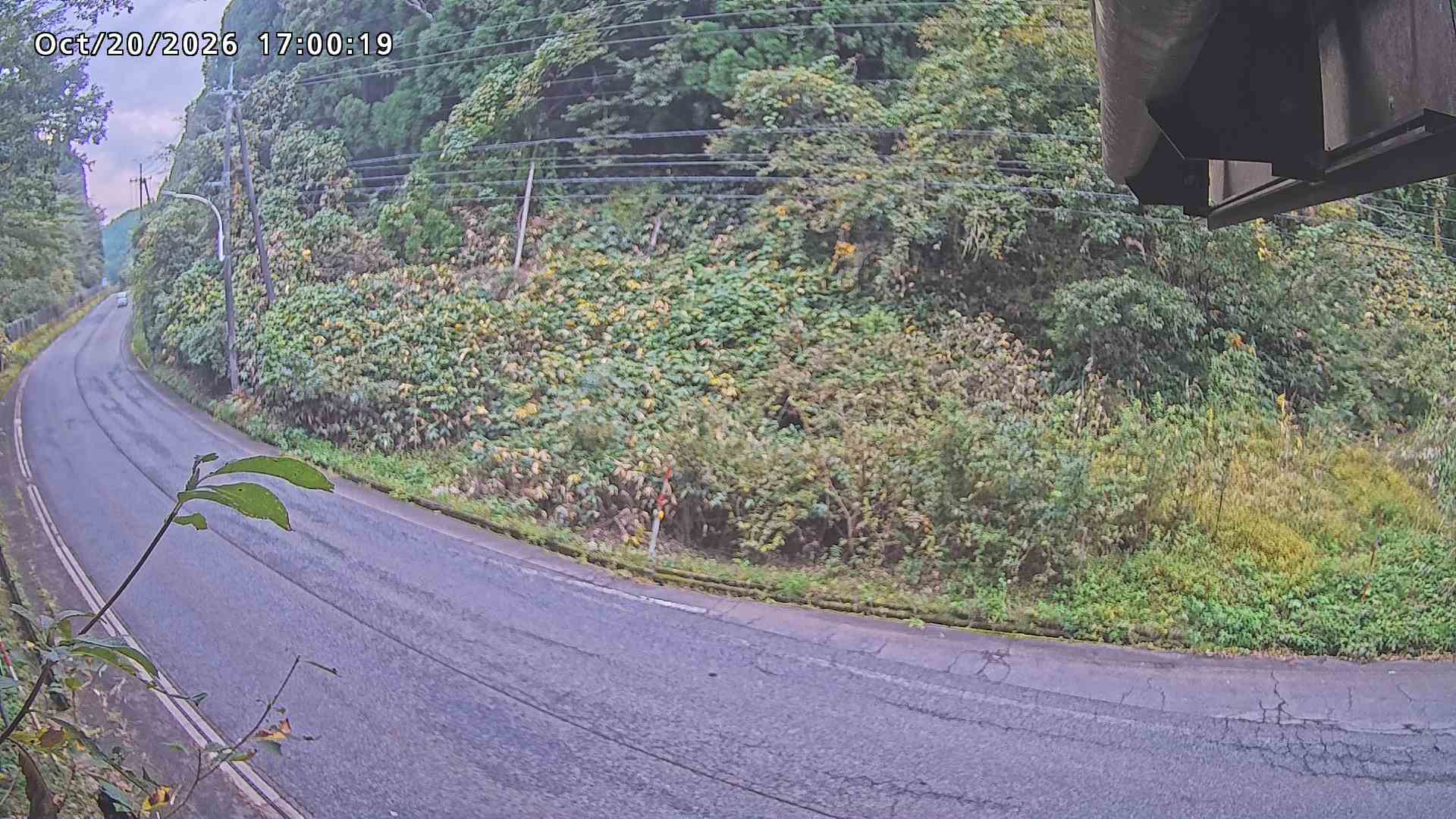 南部町大木屋