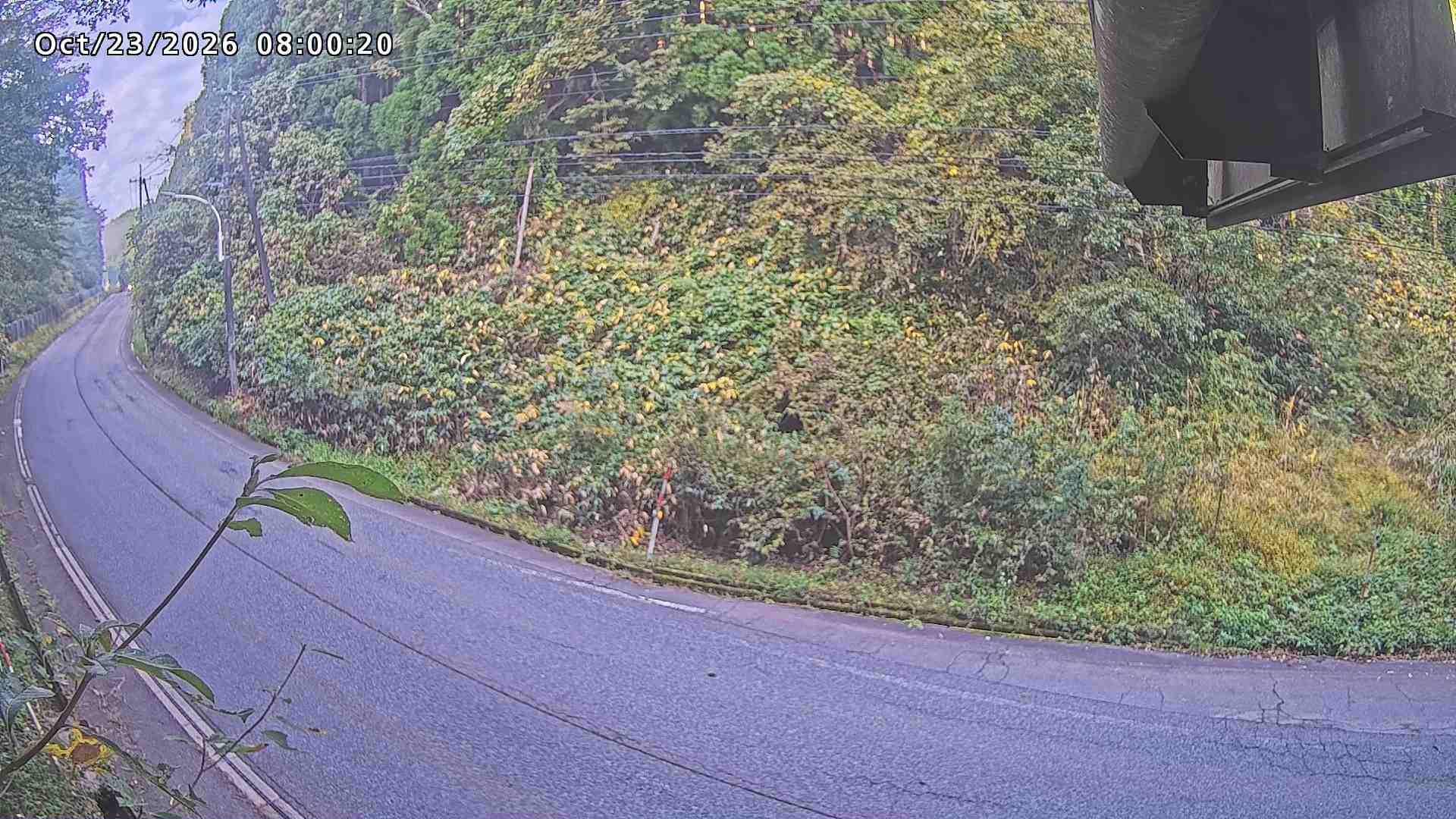 南部町大木屋