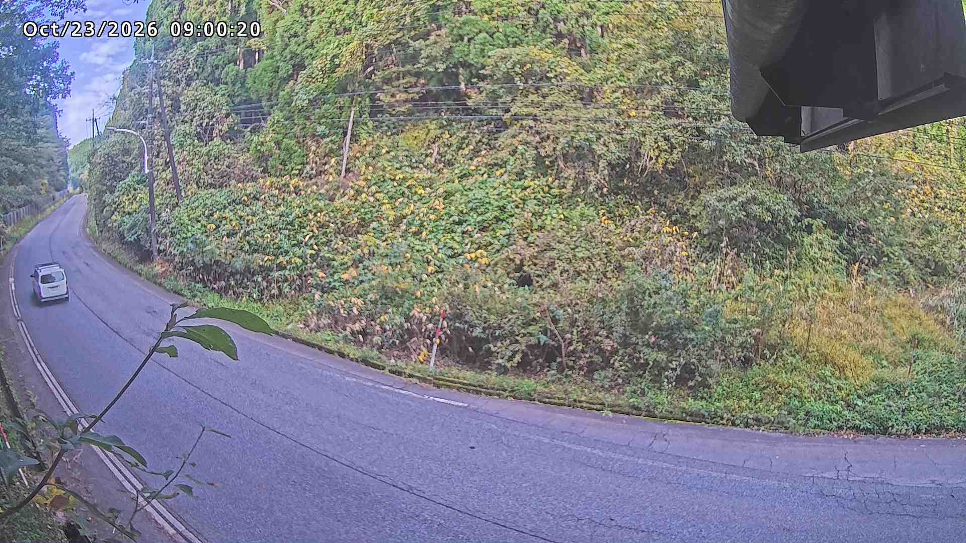 南部町大木屋