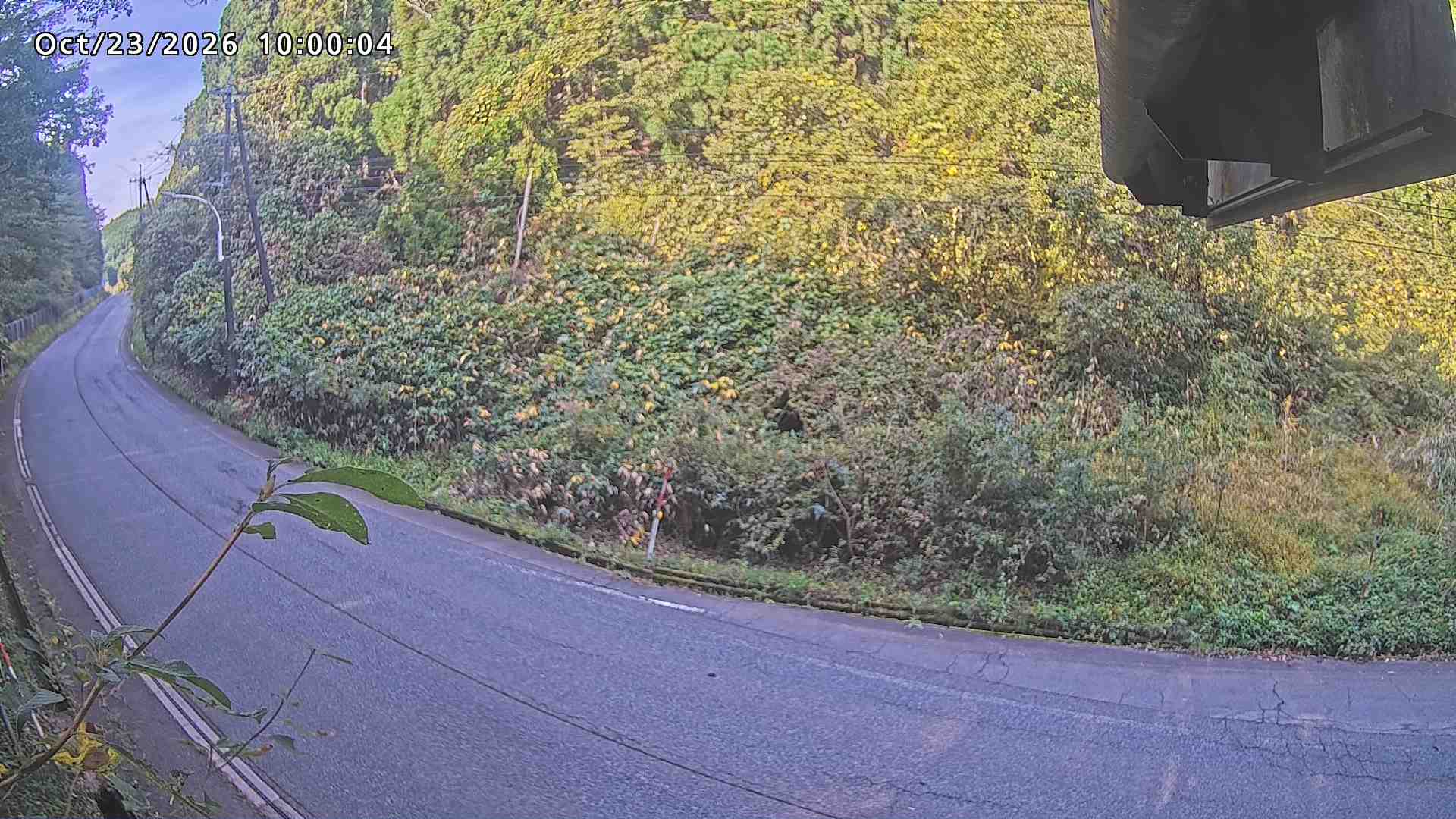 南部町大木屋