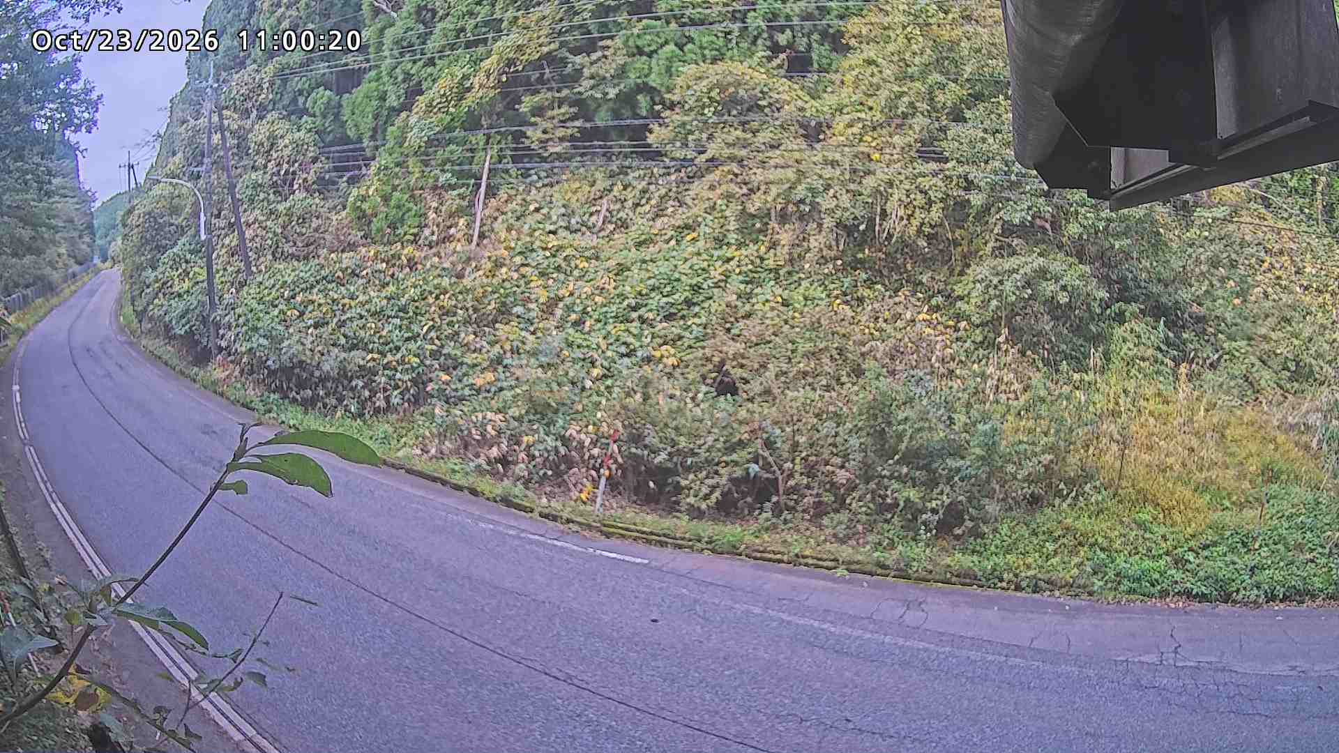 南部町大木屋