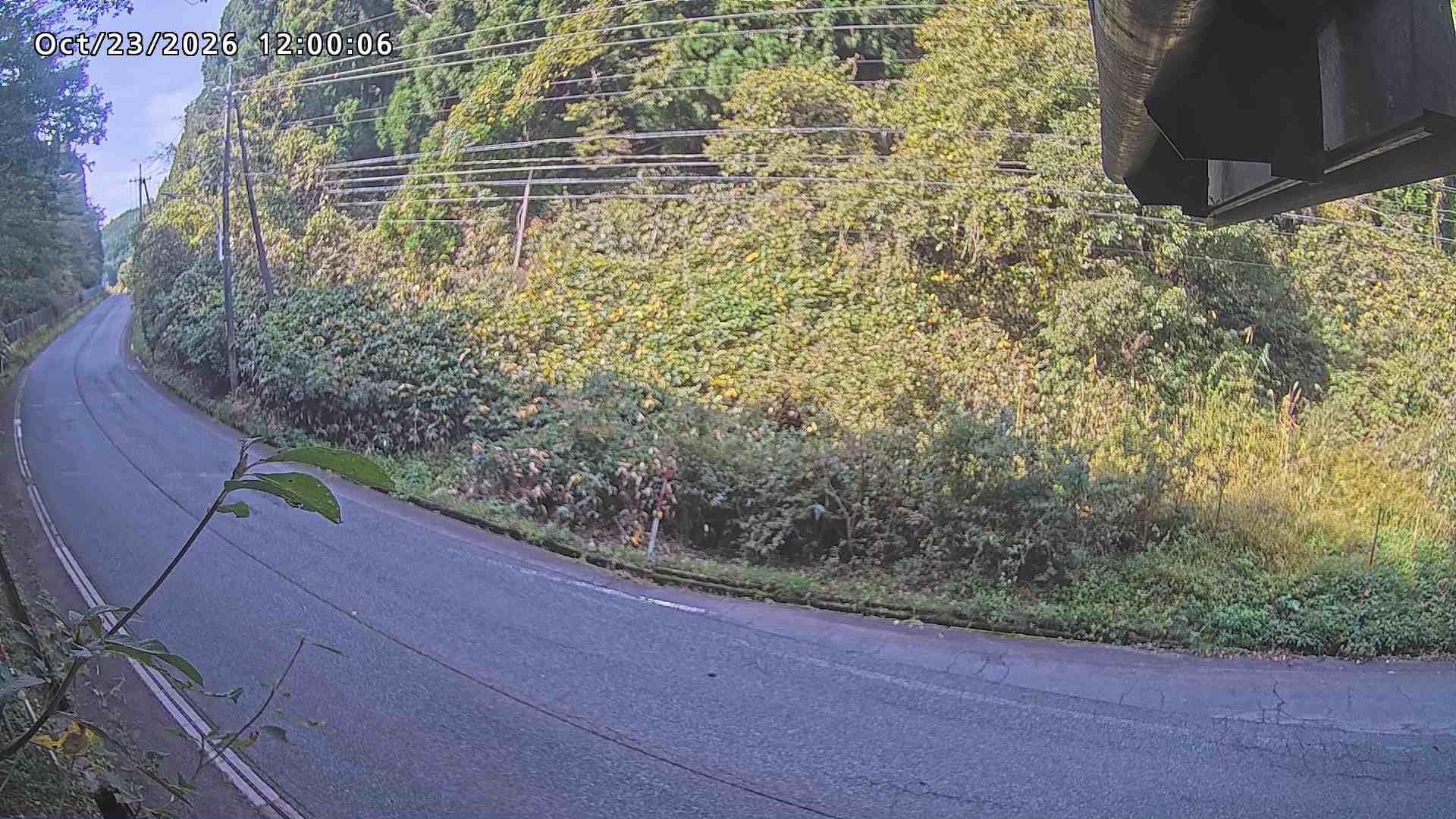 南部町大木屋
