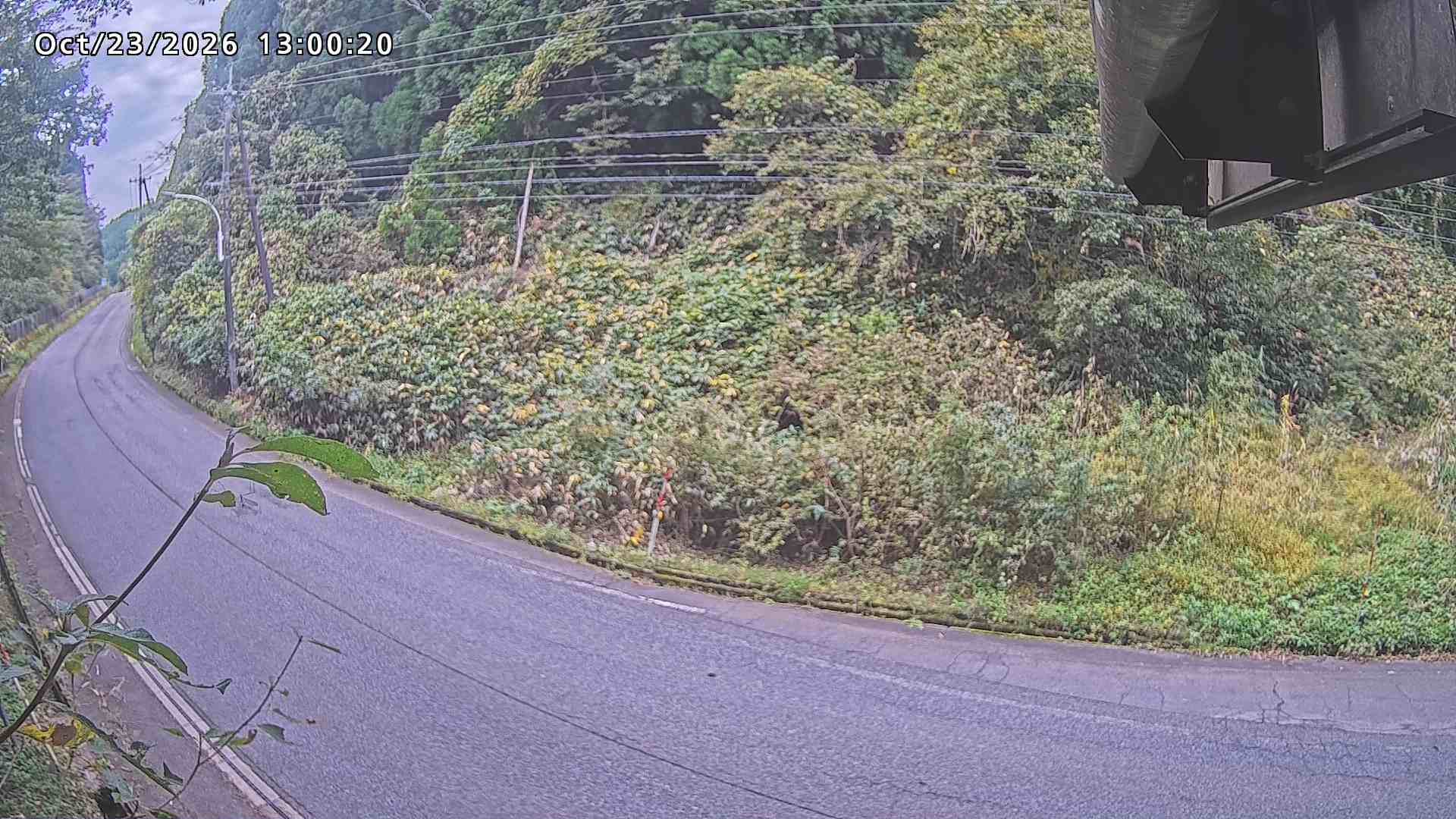 南部町大木屋