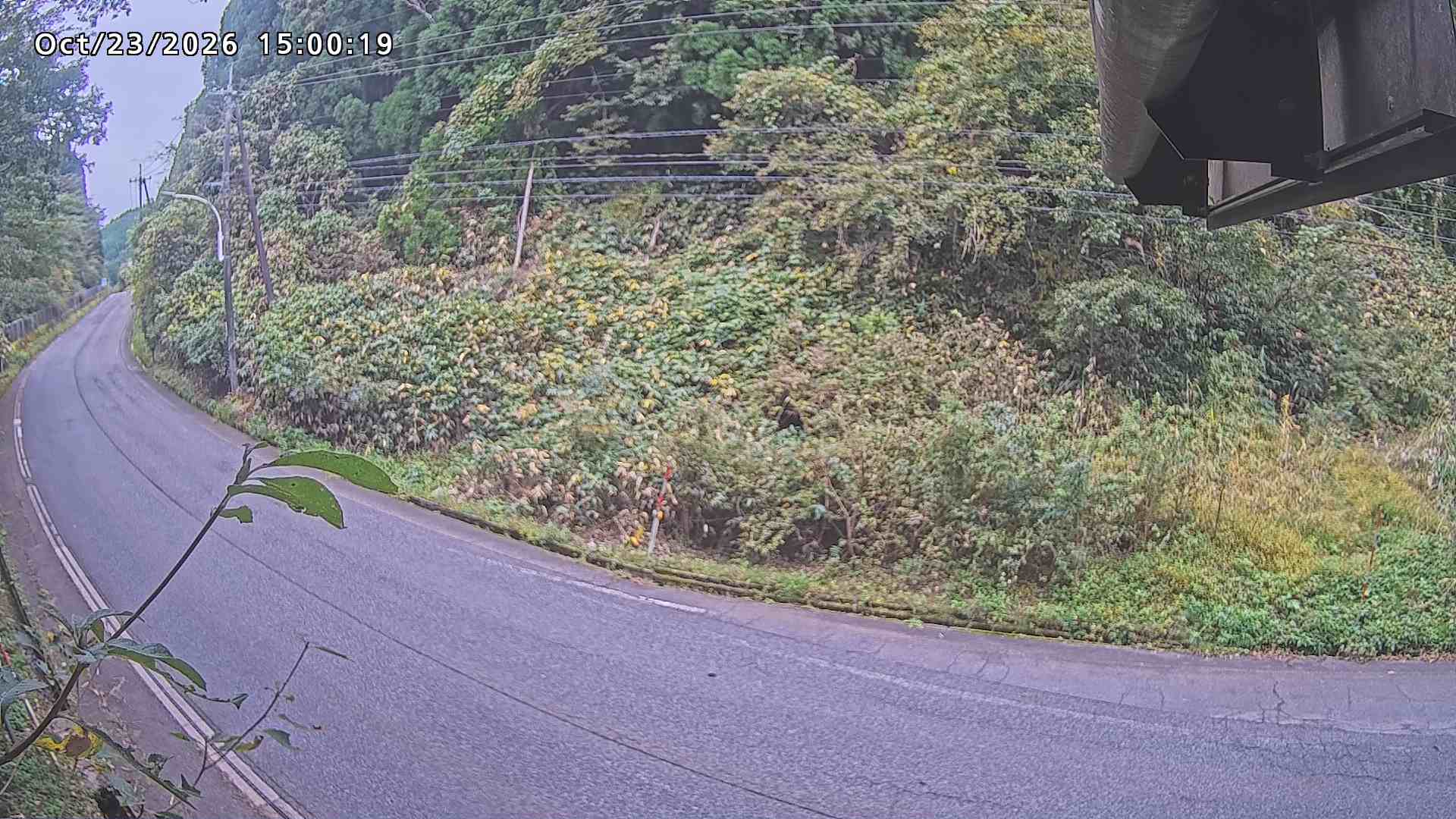 南部町大木屋