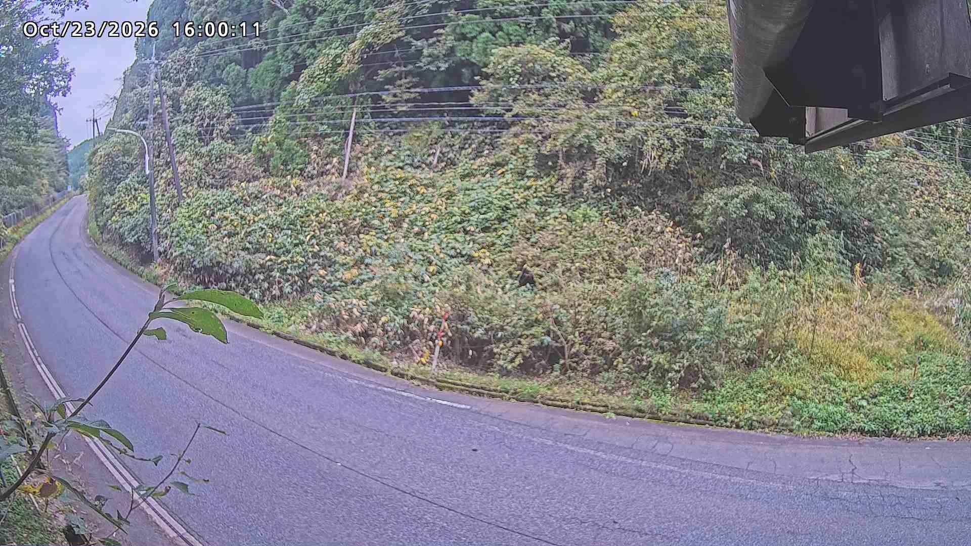 南部町大木屋