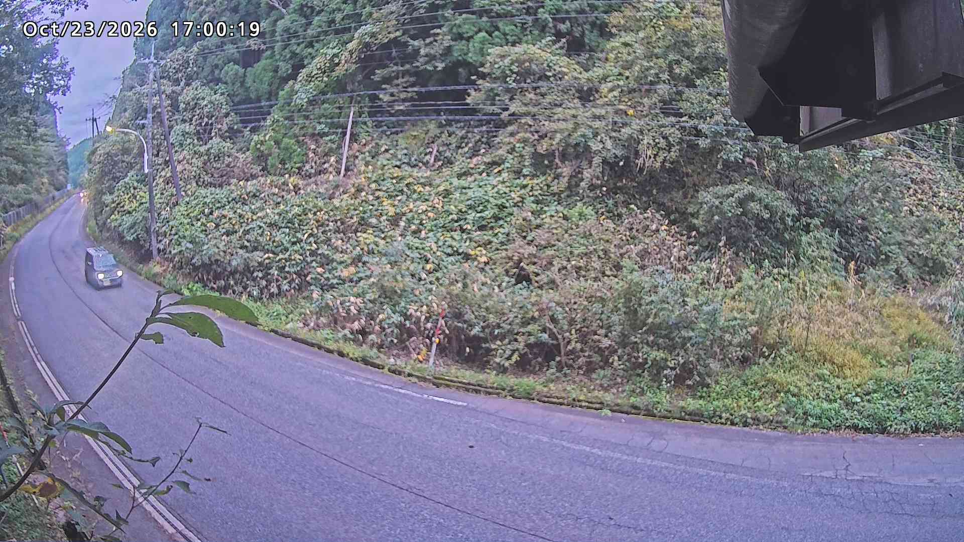 南部町大木屋