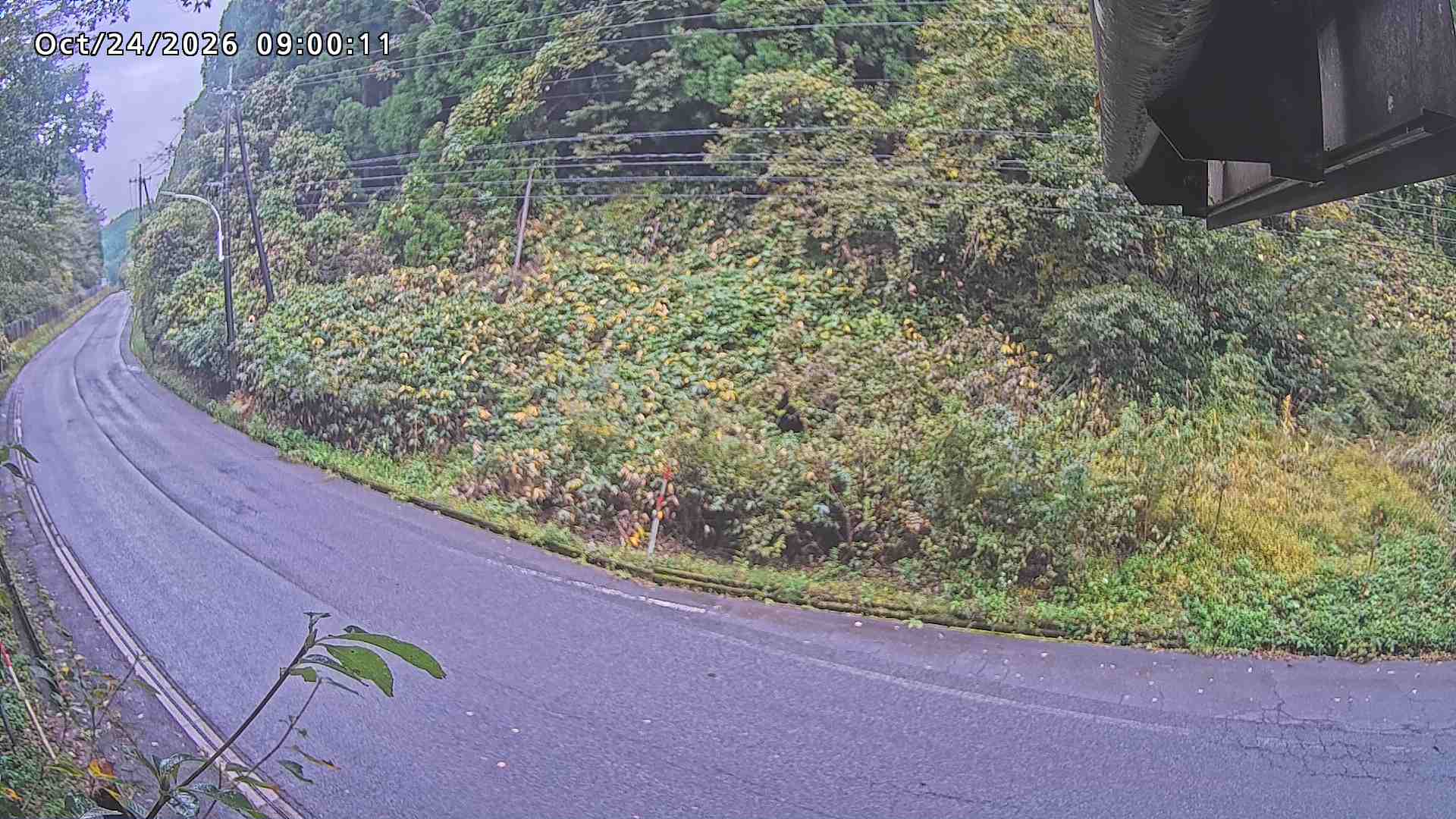 南部町大木屋
