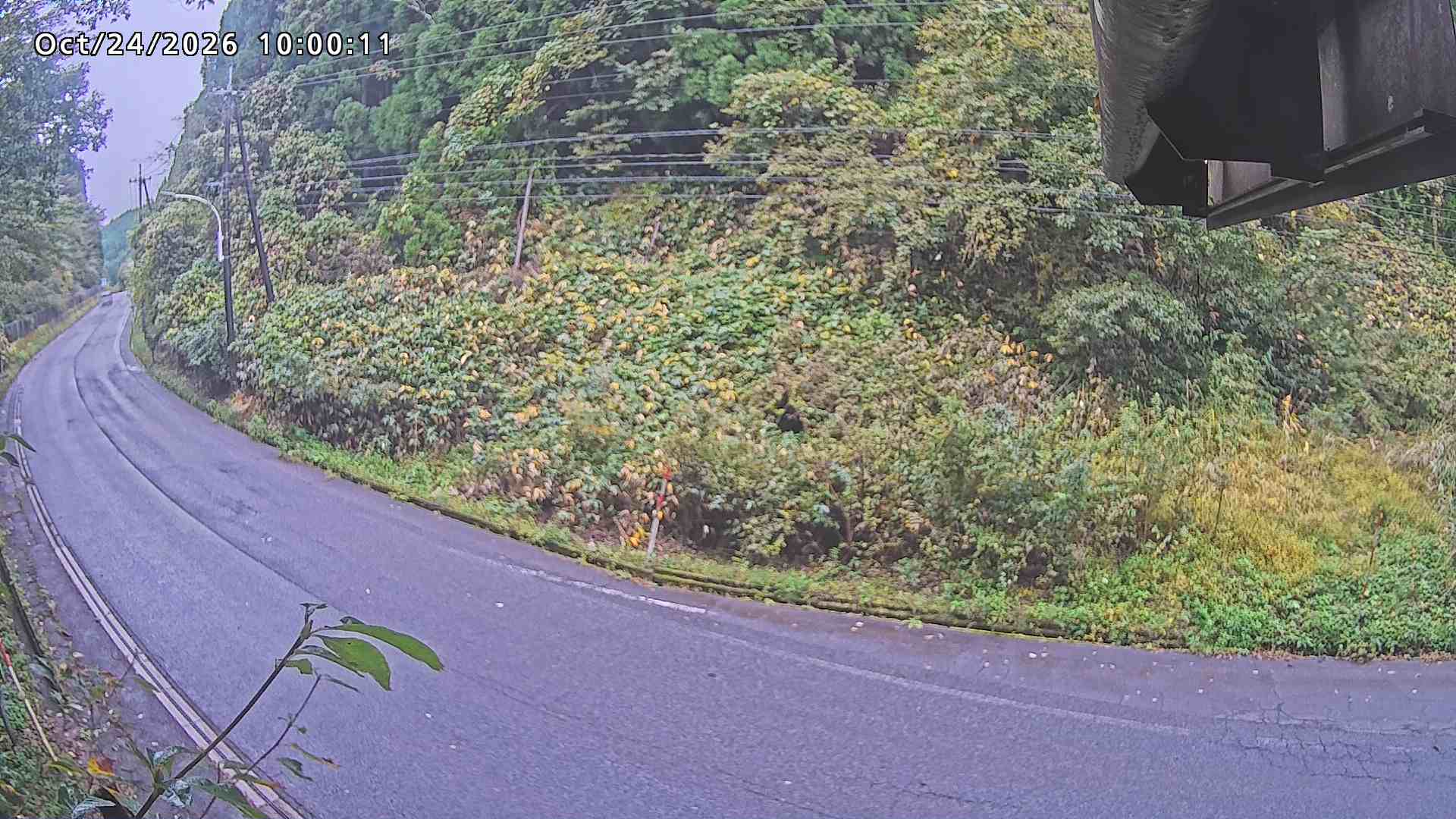 南部町大木屋