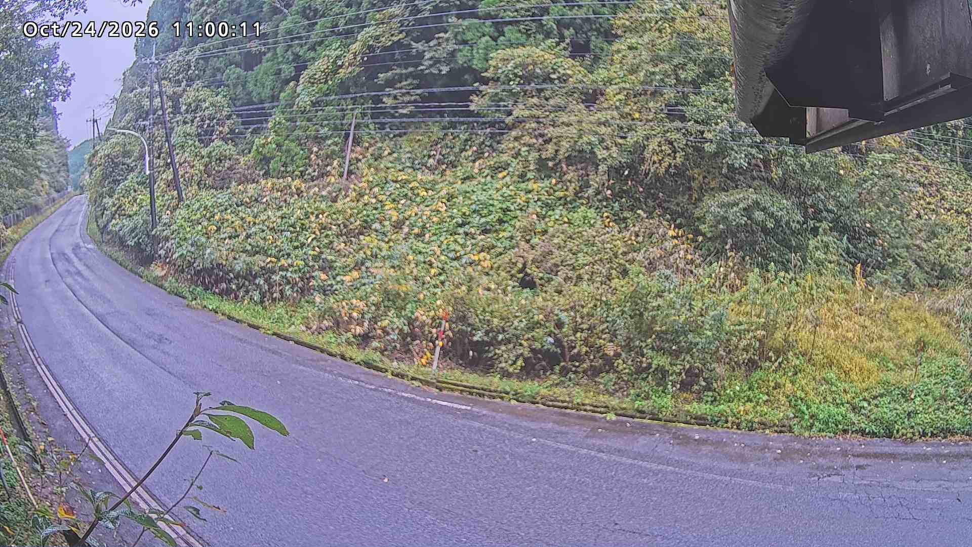 南部町大木屋