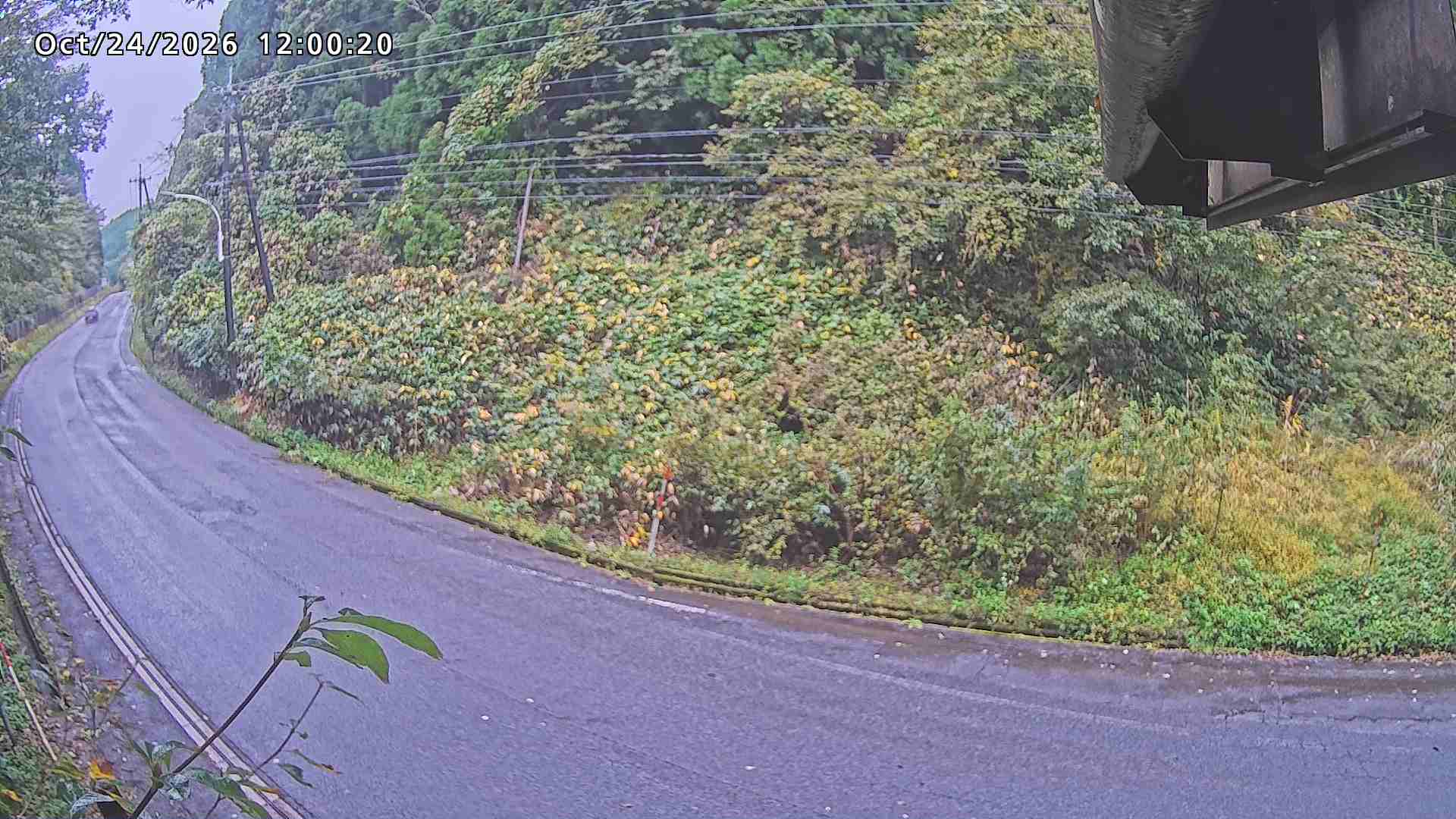南部町大木屋