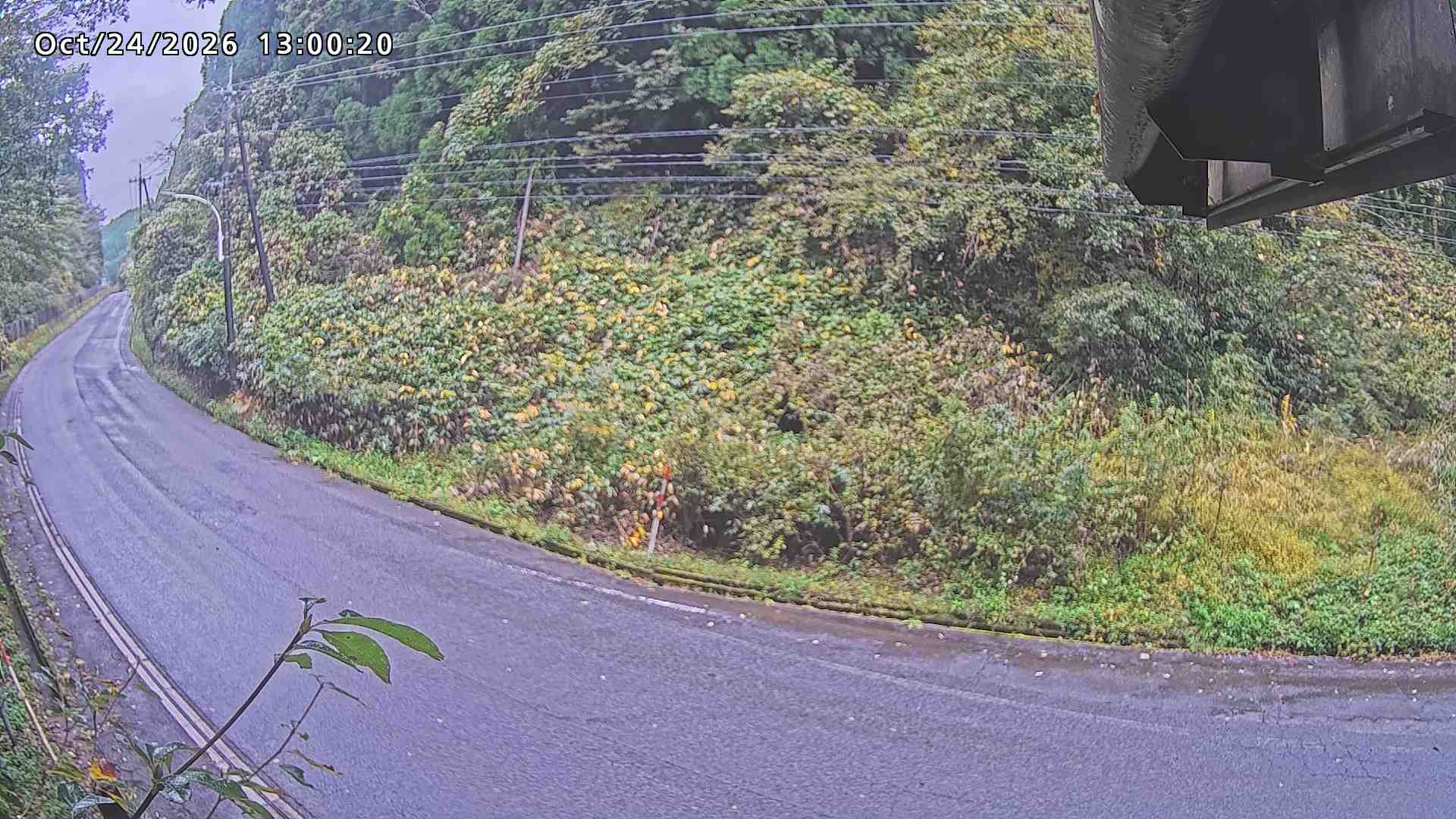 南部町大木屋