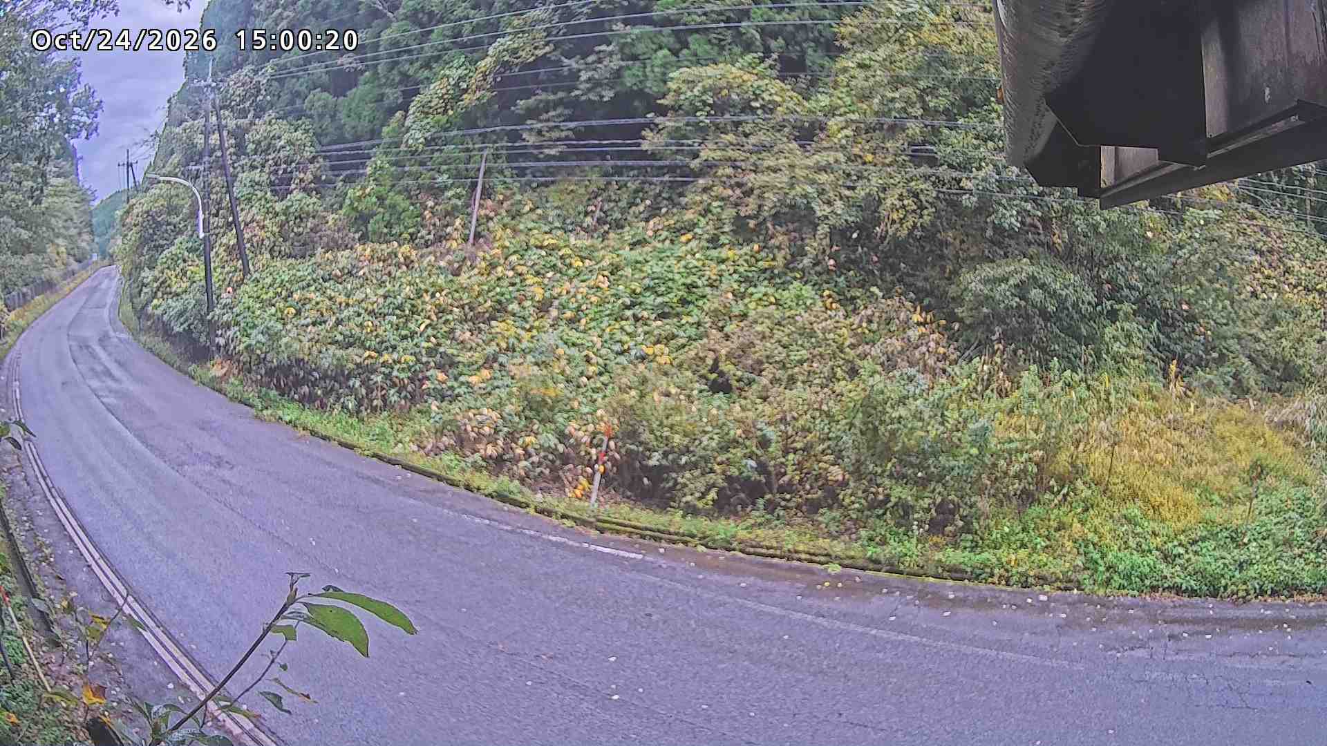 南部町大木屋